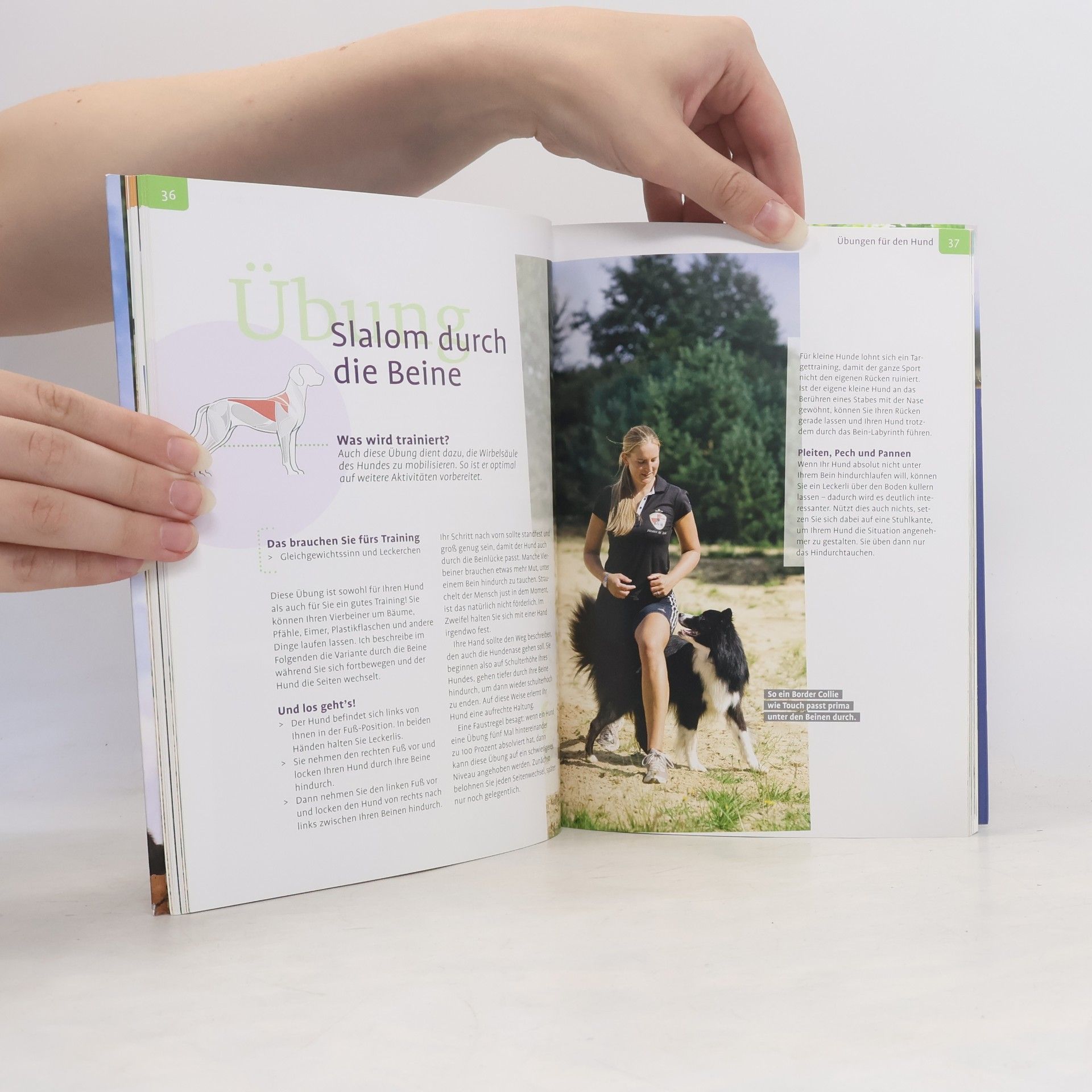 Hester M. Eick Fit mit meinem Hund