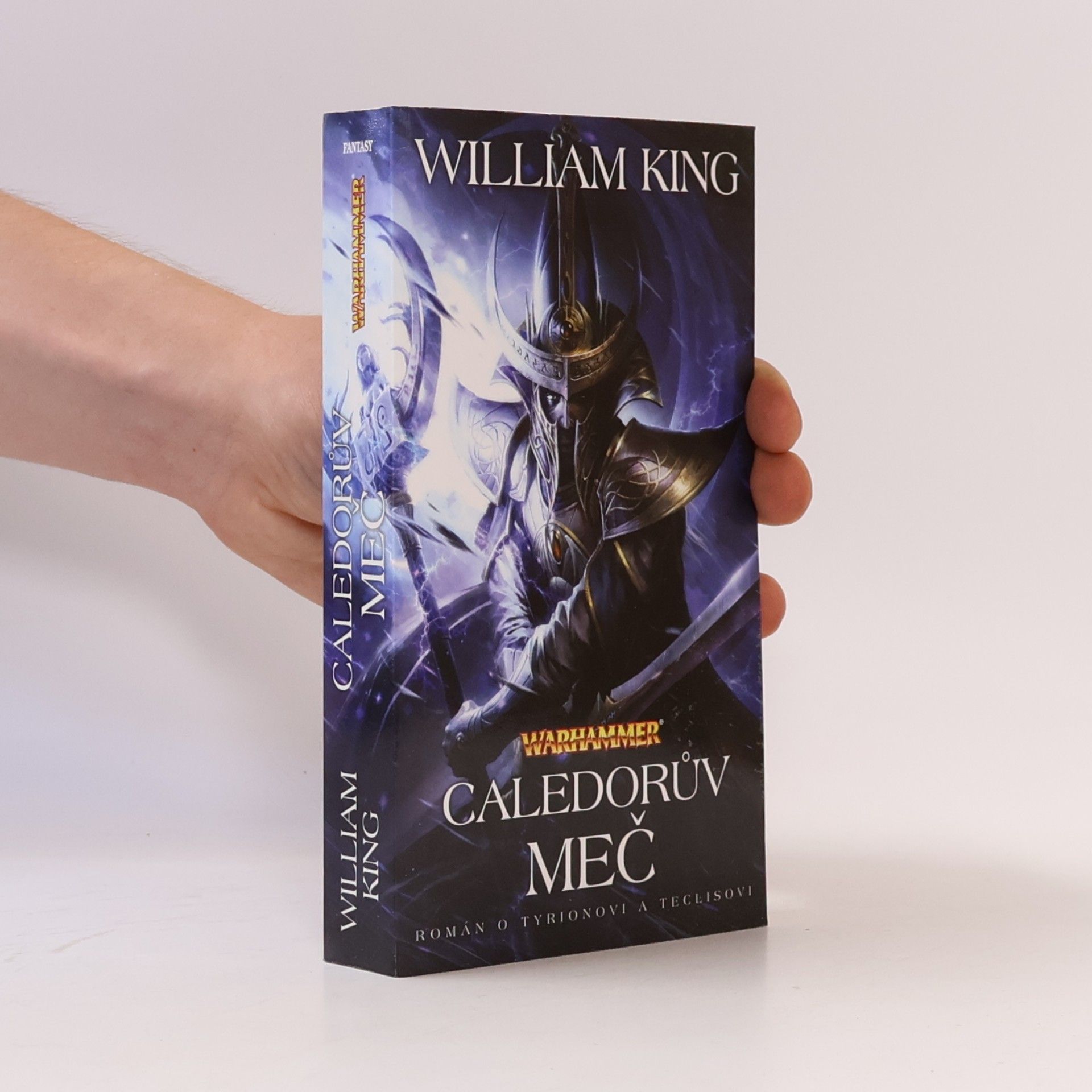 William King Caledorův meč