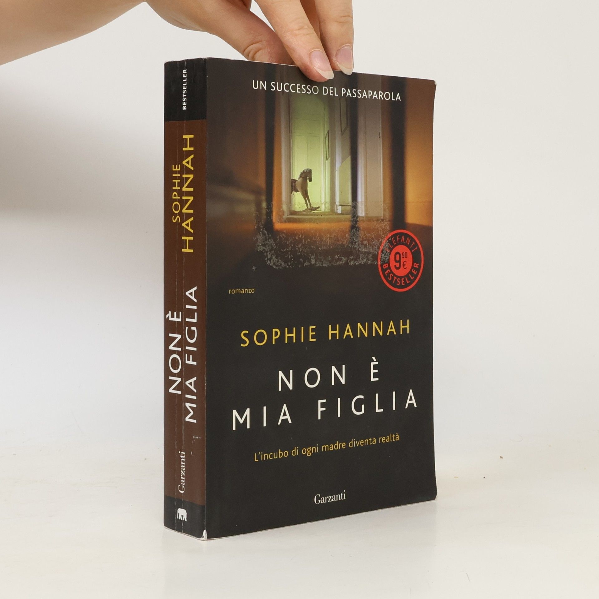 Sophie Hannah Non è mia figlia