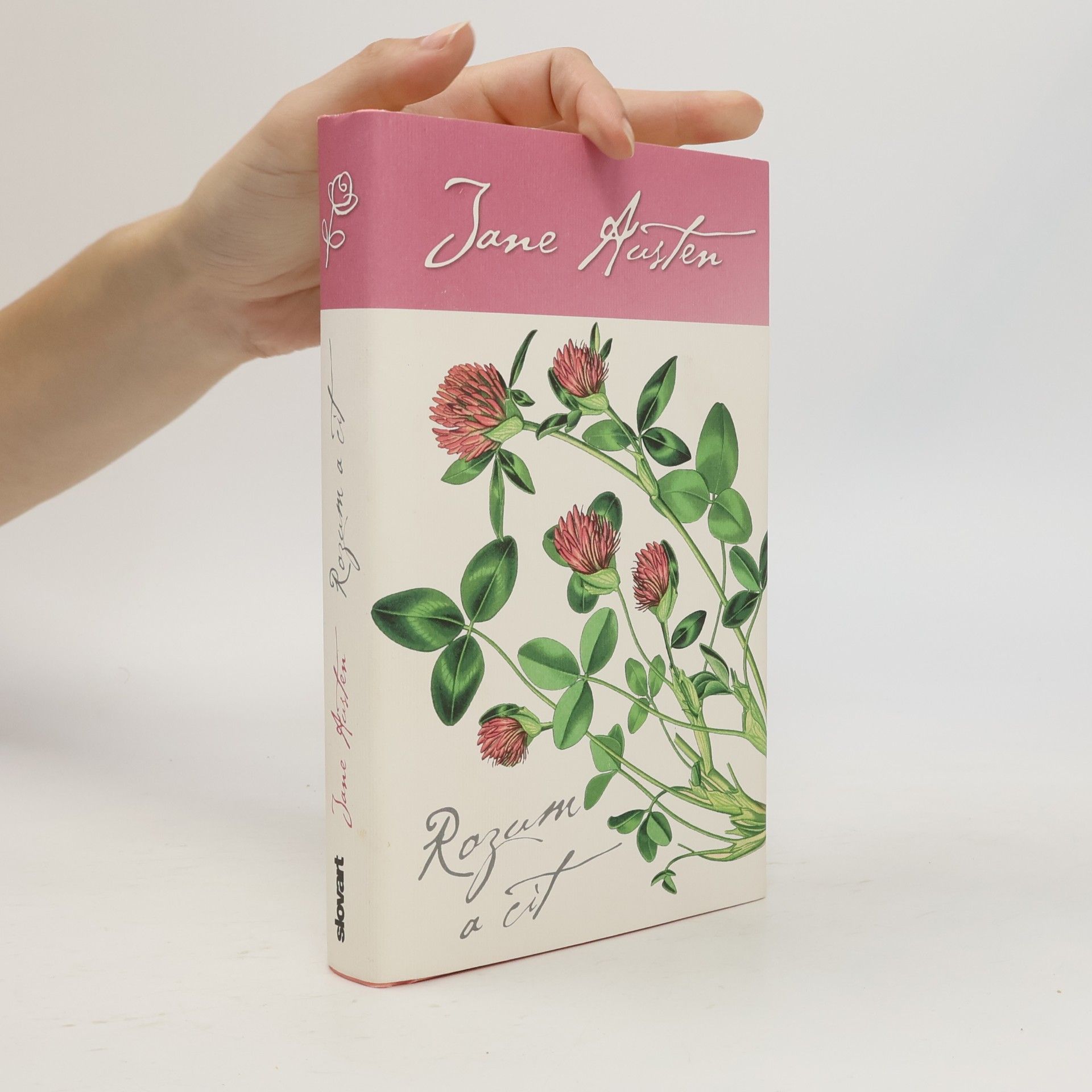 Jane Austen Rozum a cit