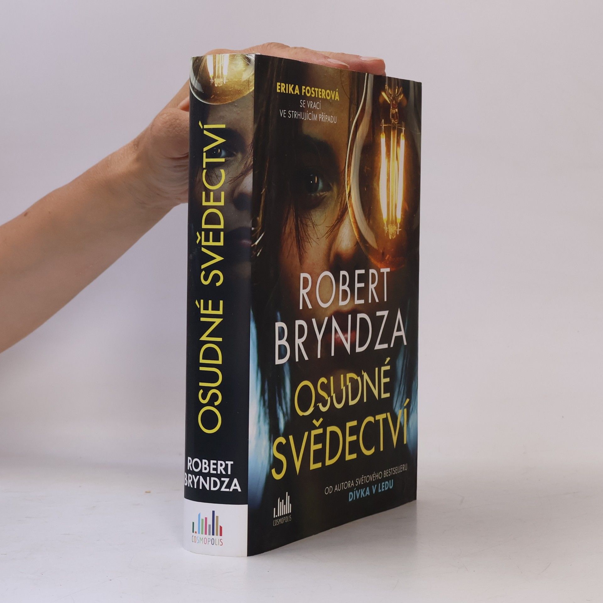 Robert Bryndza Osudné svědectví