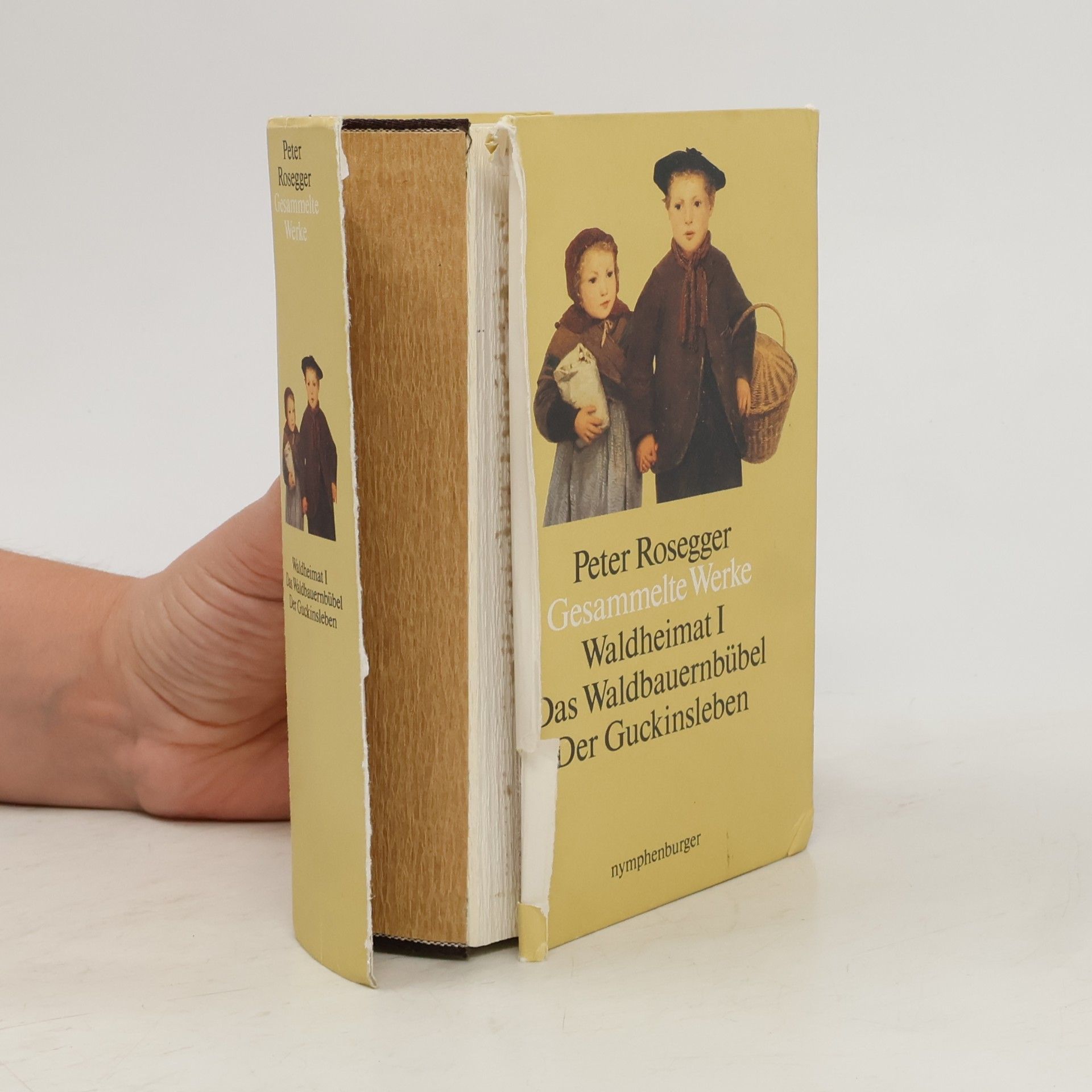 Peter Rosegger Gesammelte Werke. Waldheimat 1
