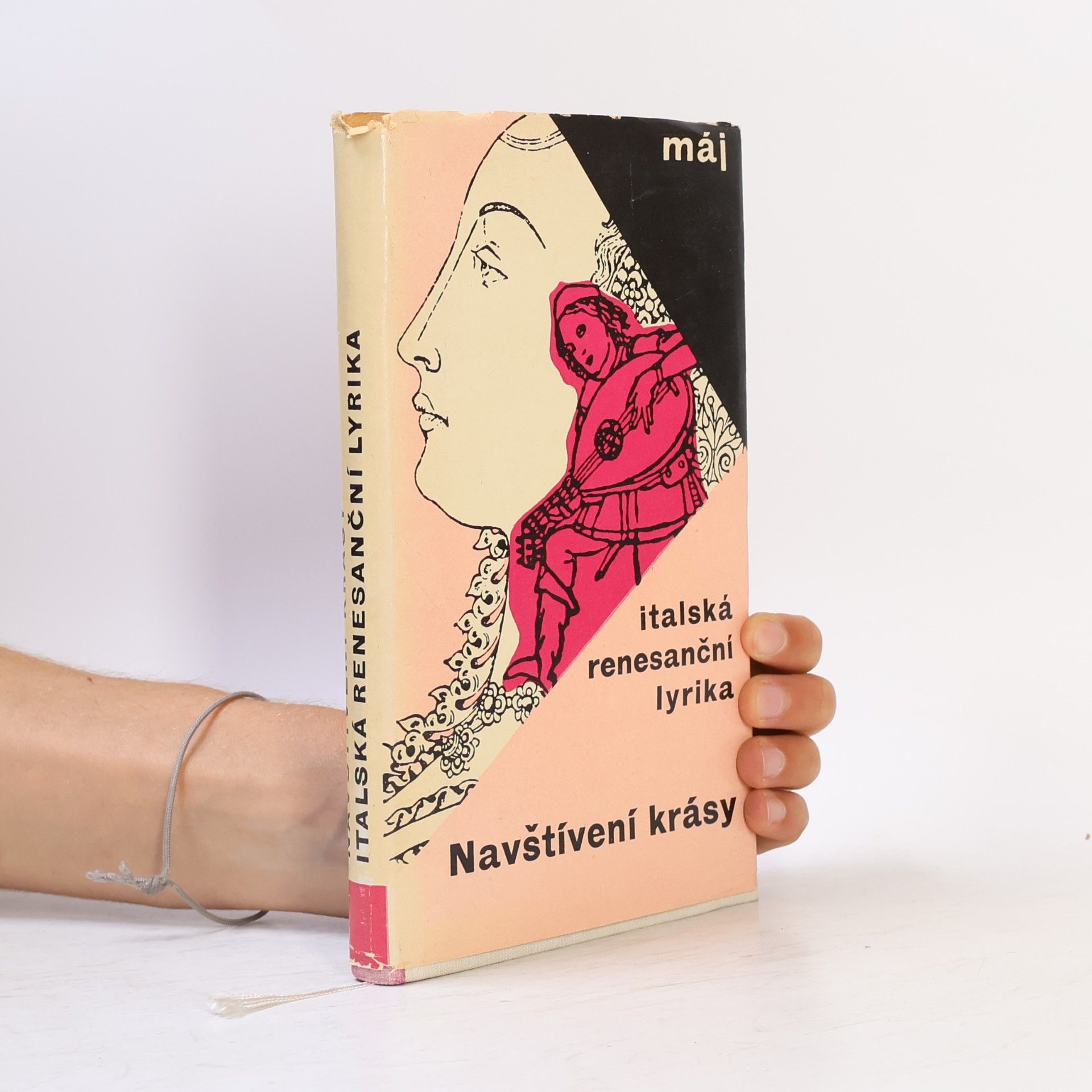 Jan Vladislav Navštívení krásy. Italská renesanční lyrika