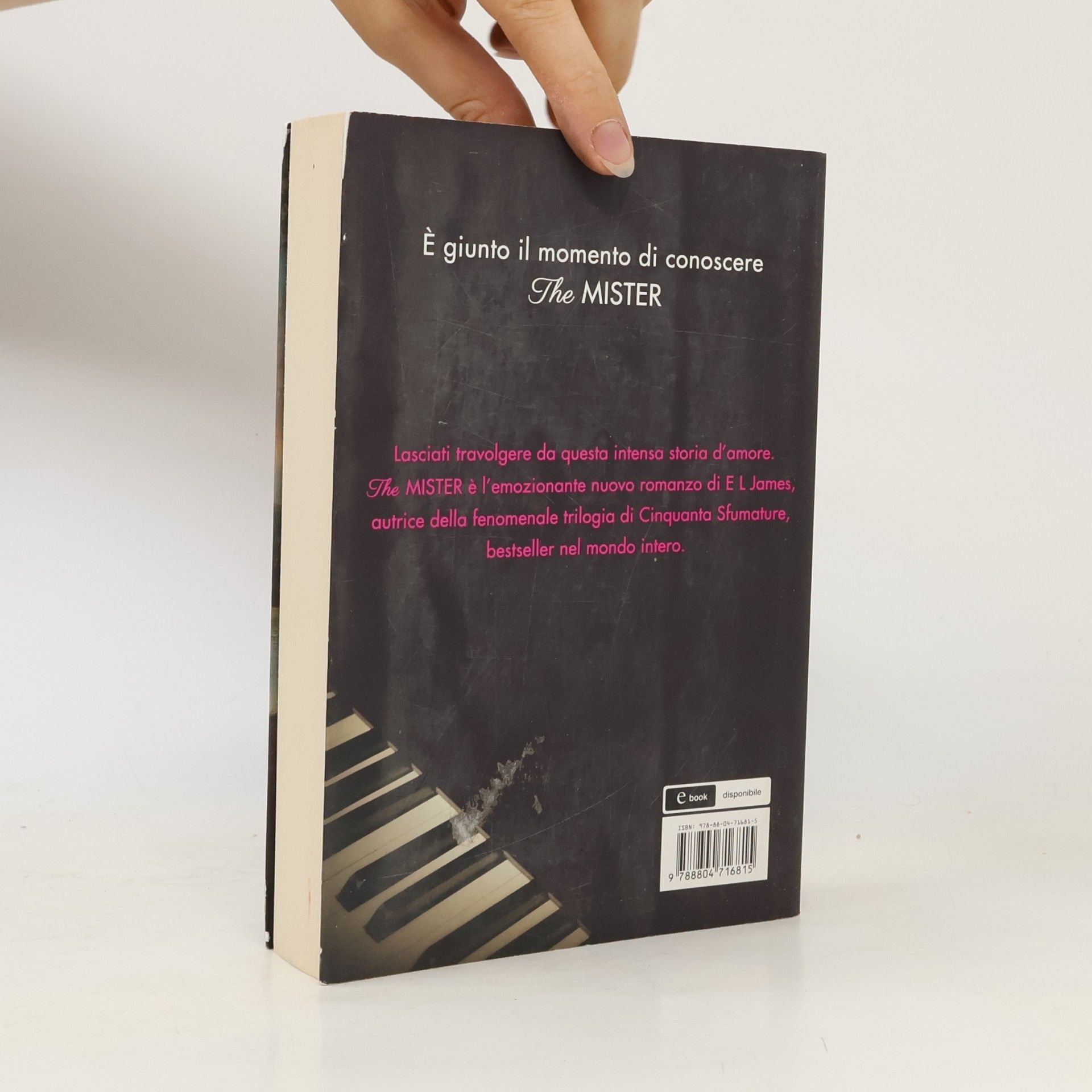 E. L. James The Mister
