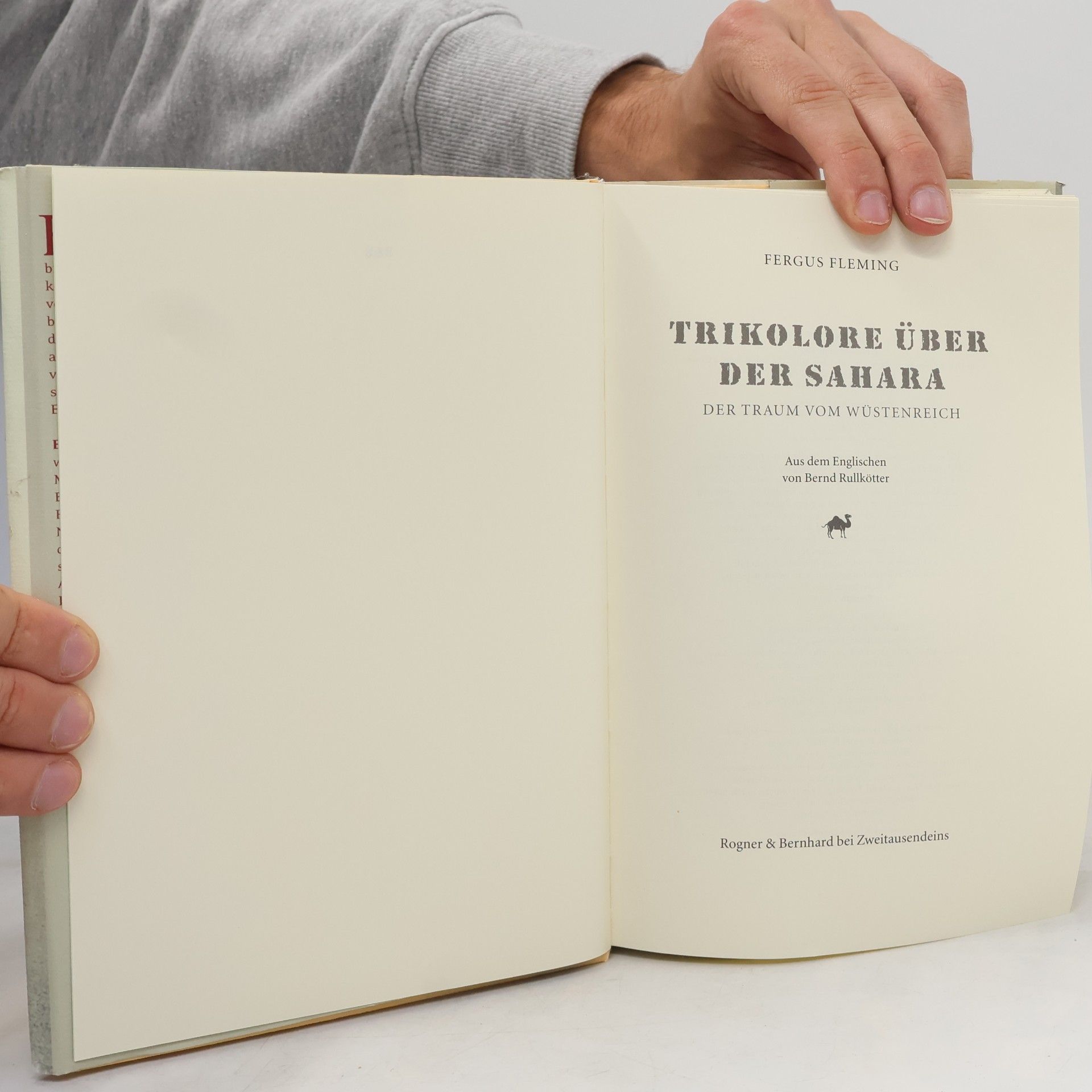Fergus Fleming Trikolore über der Sahara