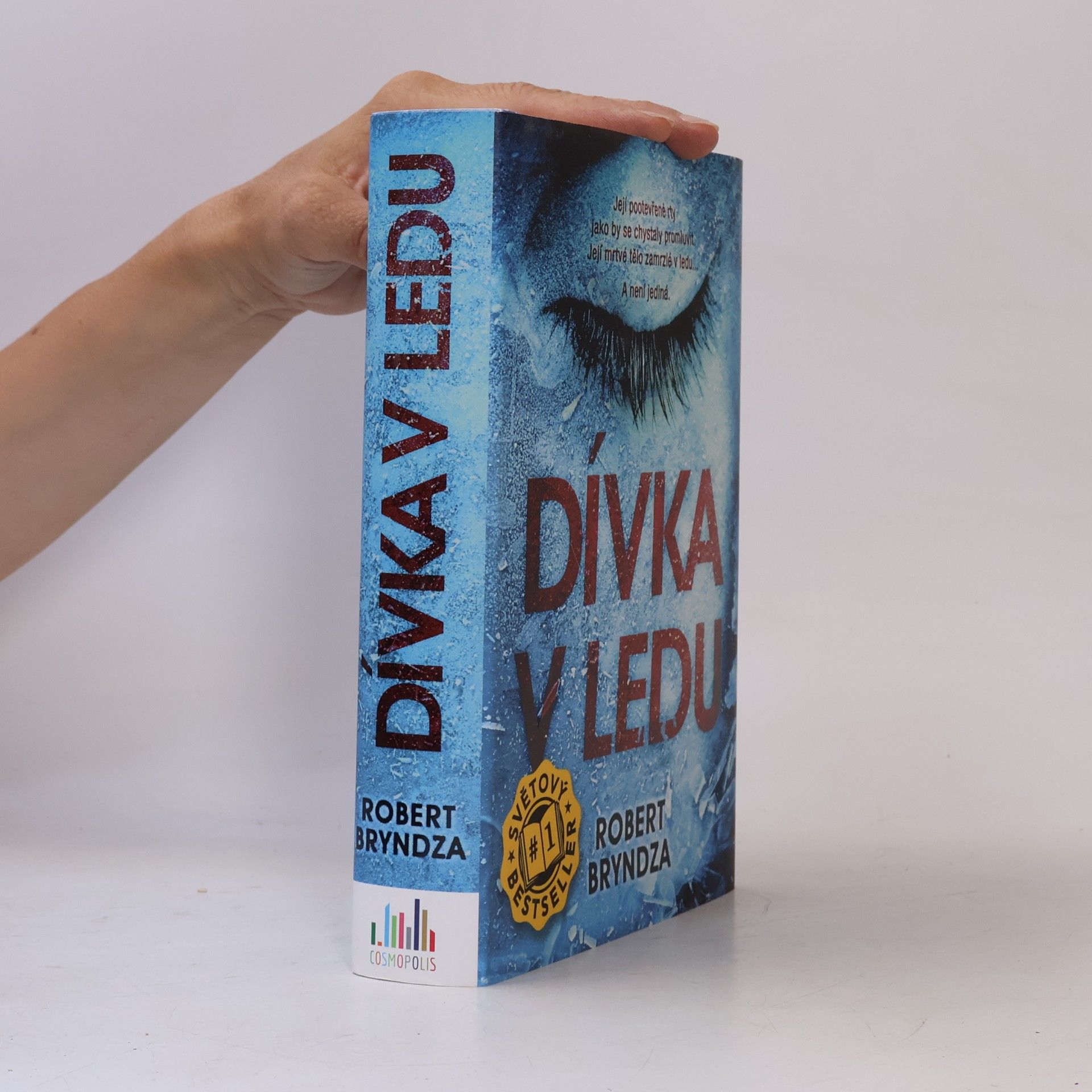 Robert Bryndza Dívka v ledu