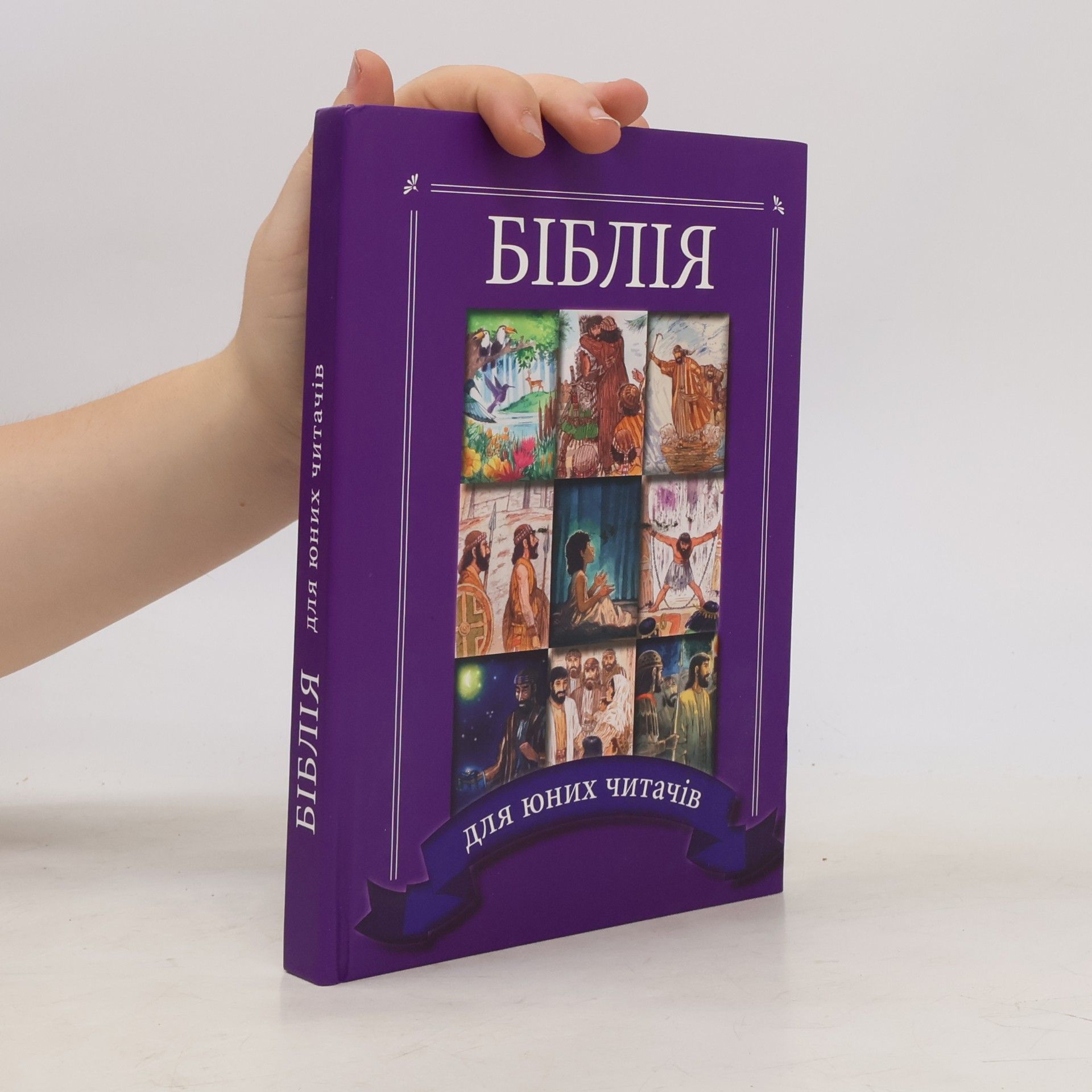 Autorenkollektiv Біблія. Biblija