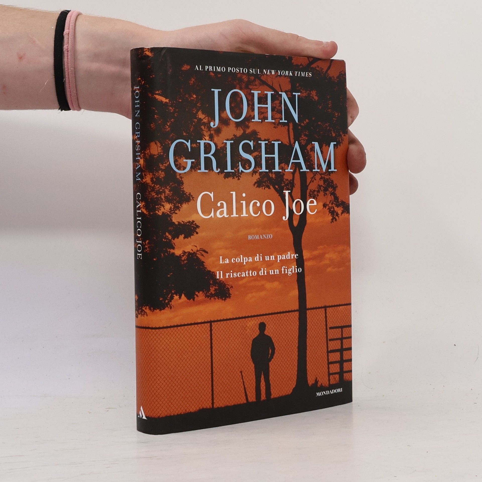 John Grisham Calico Joe