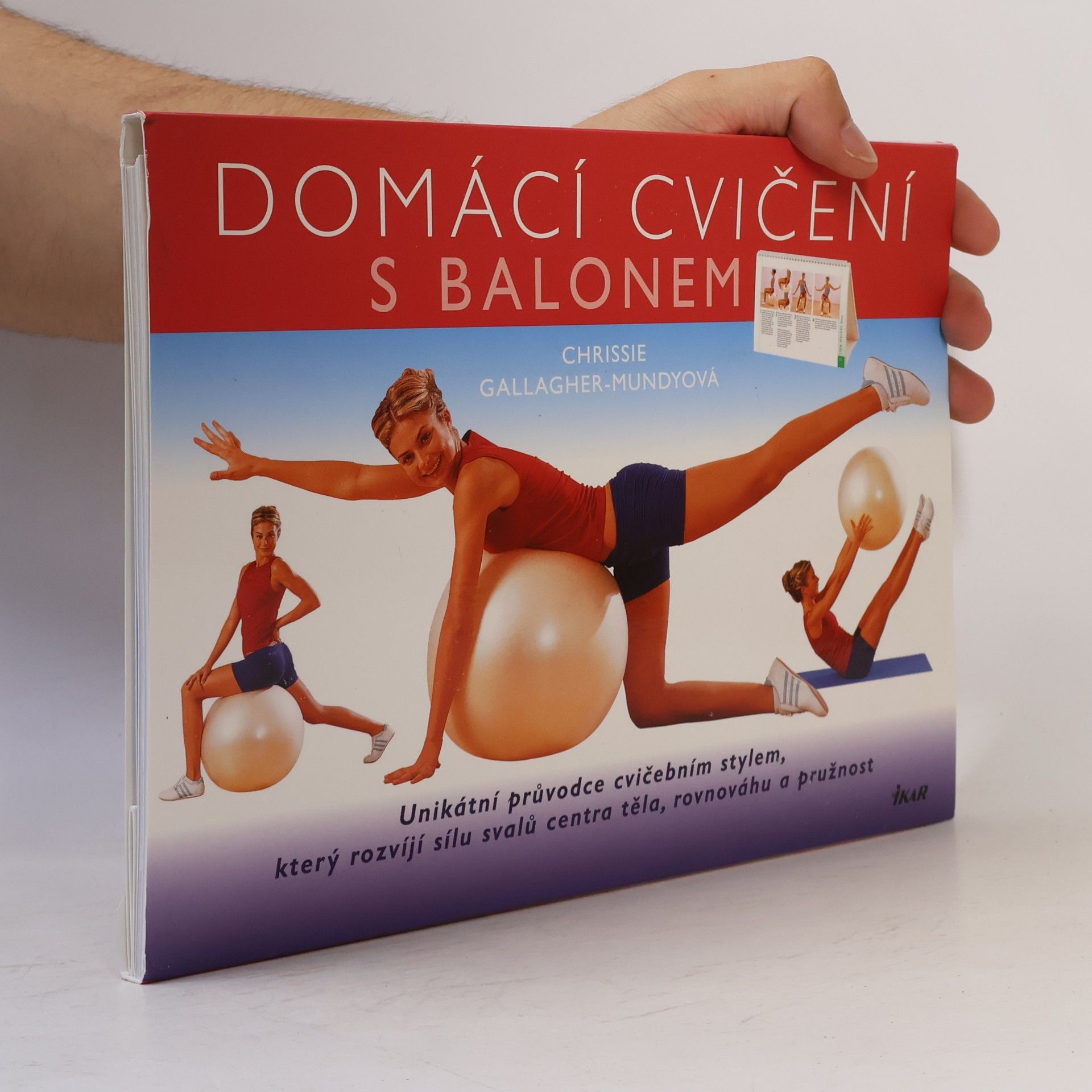 Chrissie Gallagher Mundy Domácí cvičení s balonem