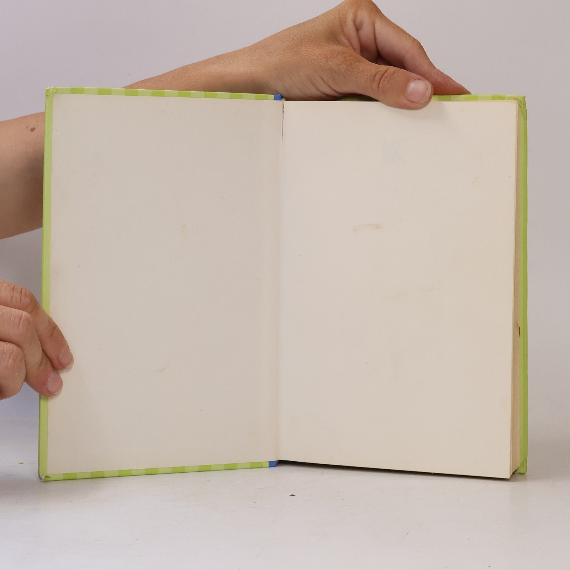 Meg Cabot Allie Finklová - holčičí pravidla. 2, Nová holka