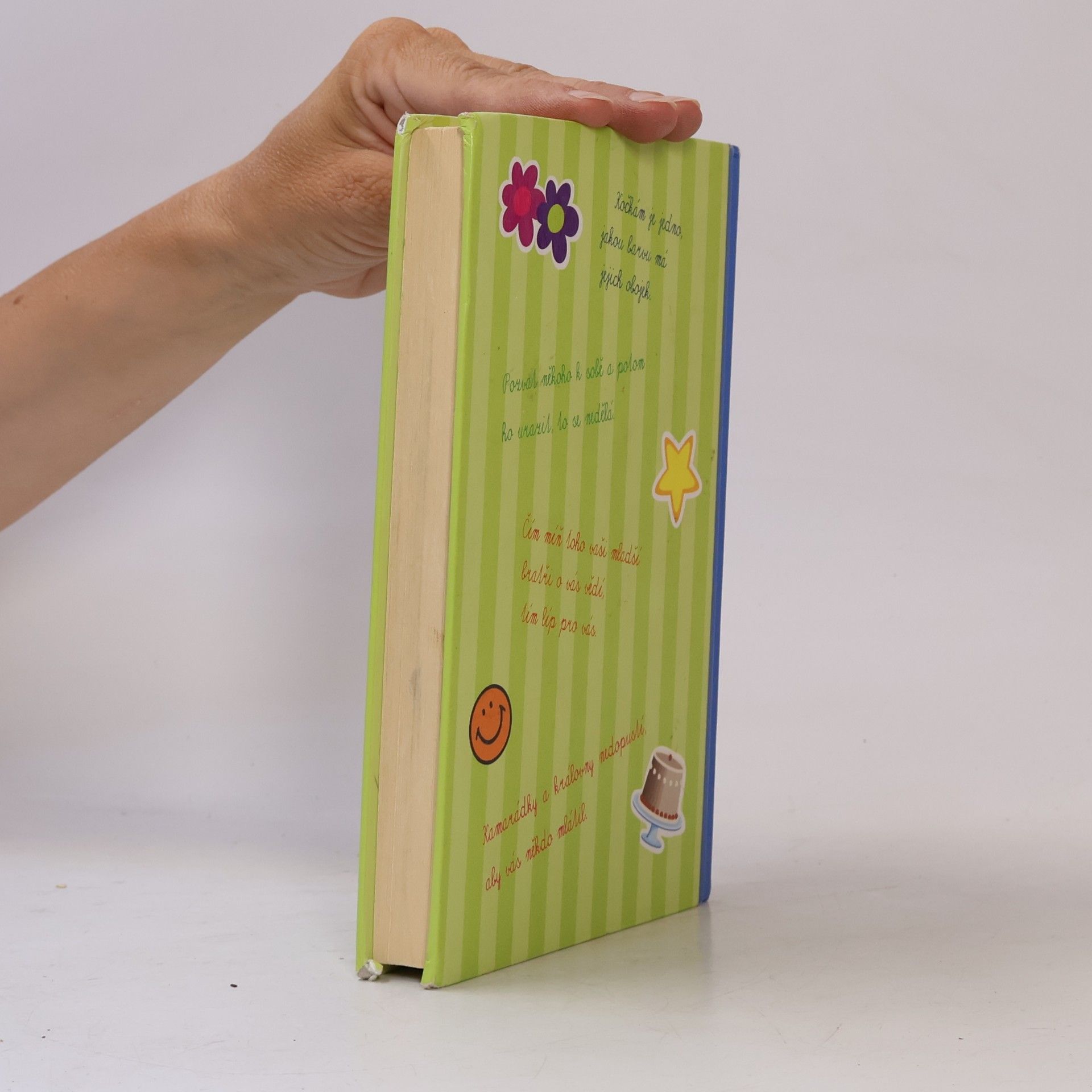 Meg Cabot Allie Finklová - holčičí pravidla. 2, Nová holka
