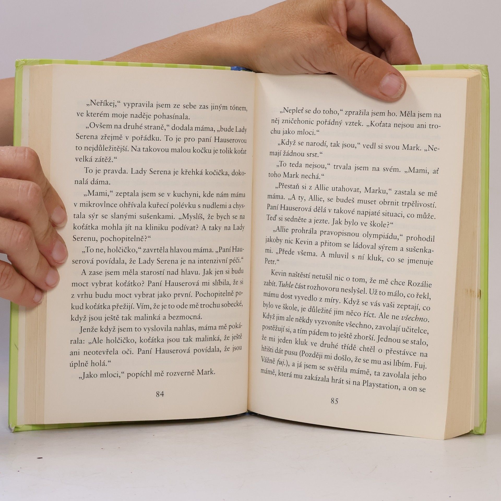 Meg Cabot Allie Finklová - holčičí pravidla. 2, Nová holka
