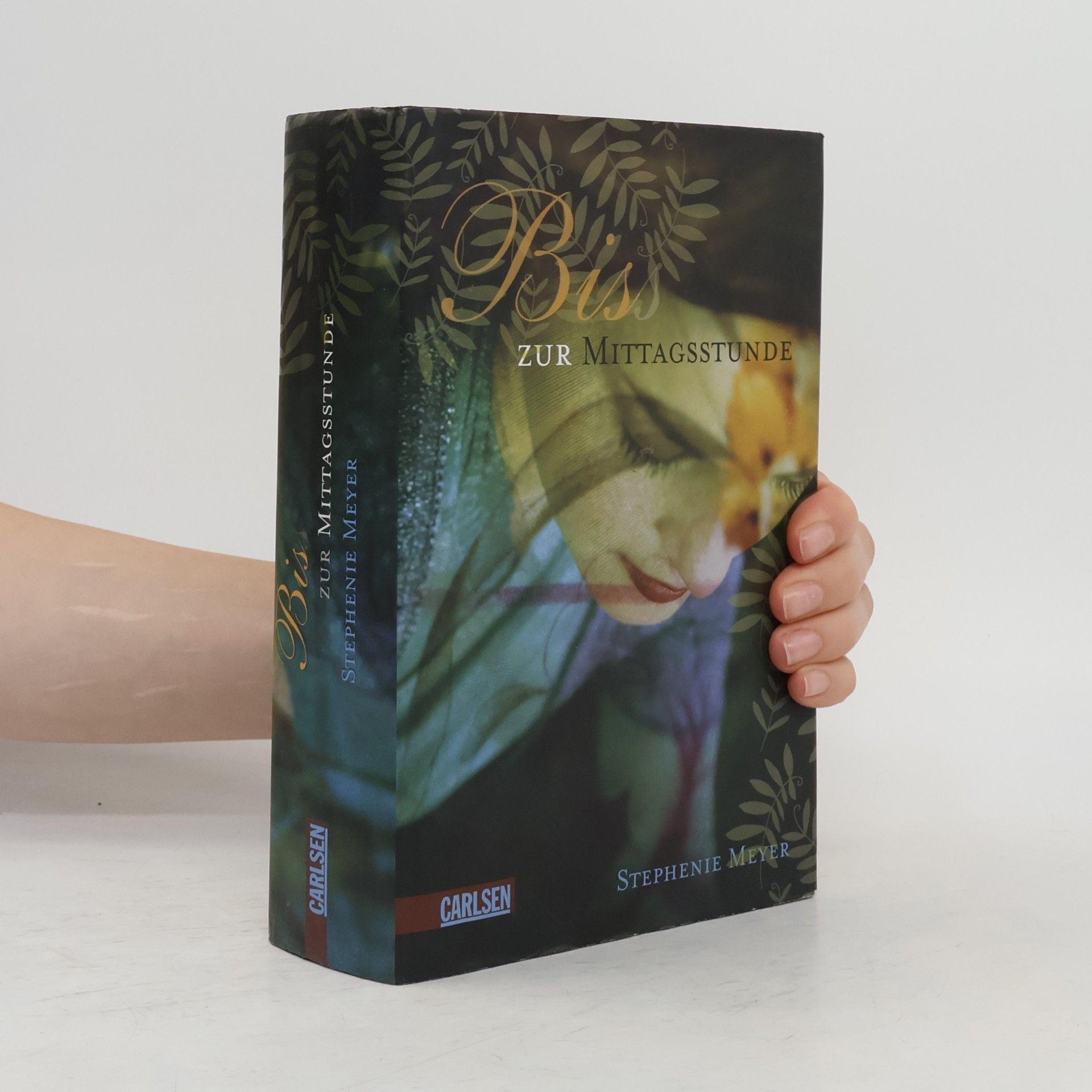 Stephenie Meyer Biss zur Mittagsstunde