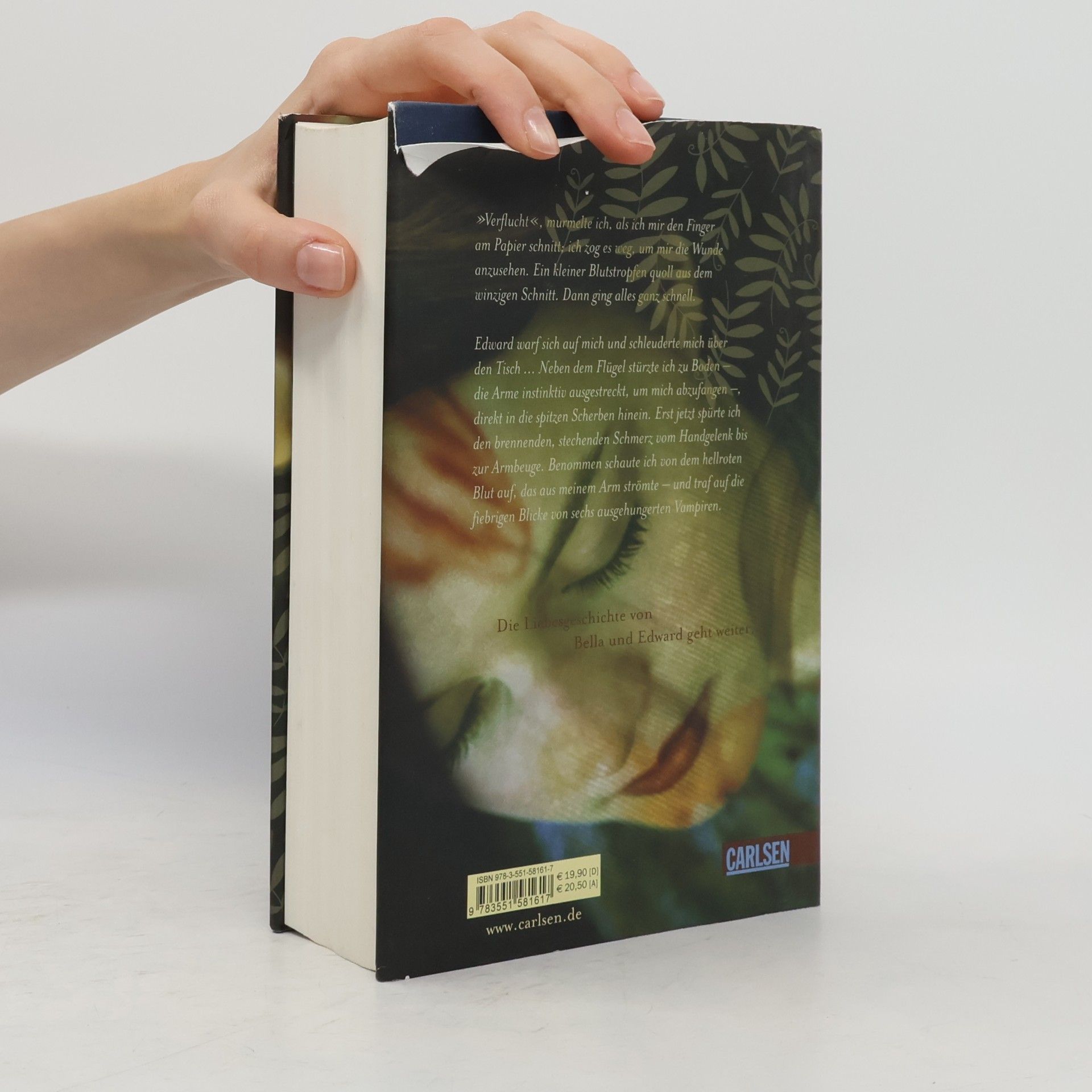Stephenie Meyer Biss zur Mittagsstunde