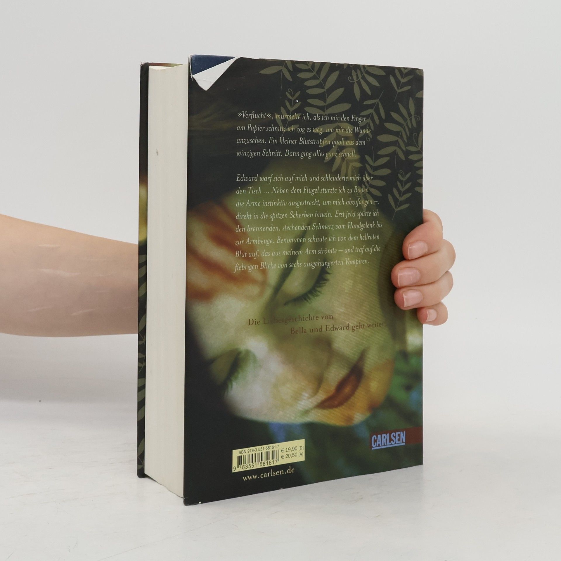 Stephenie Meyer Biss zur Mittagsstunde