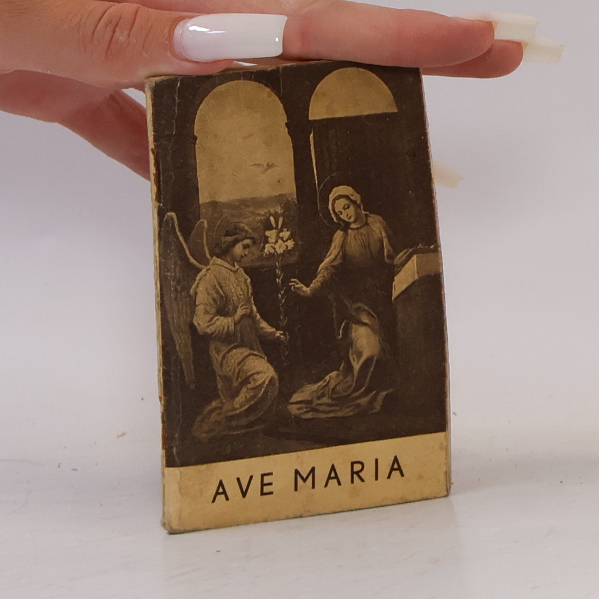 Kolektiv autorů Ave Maria