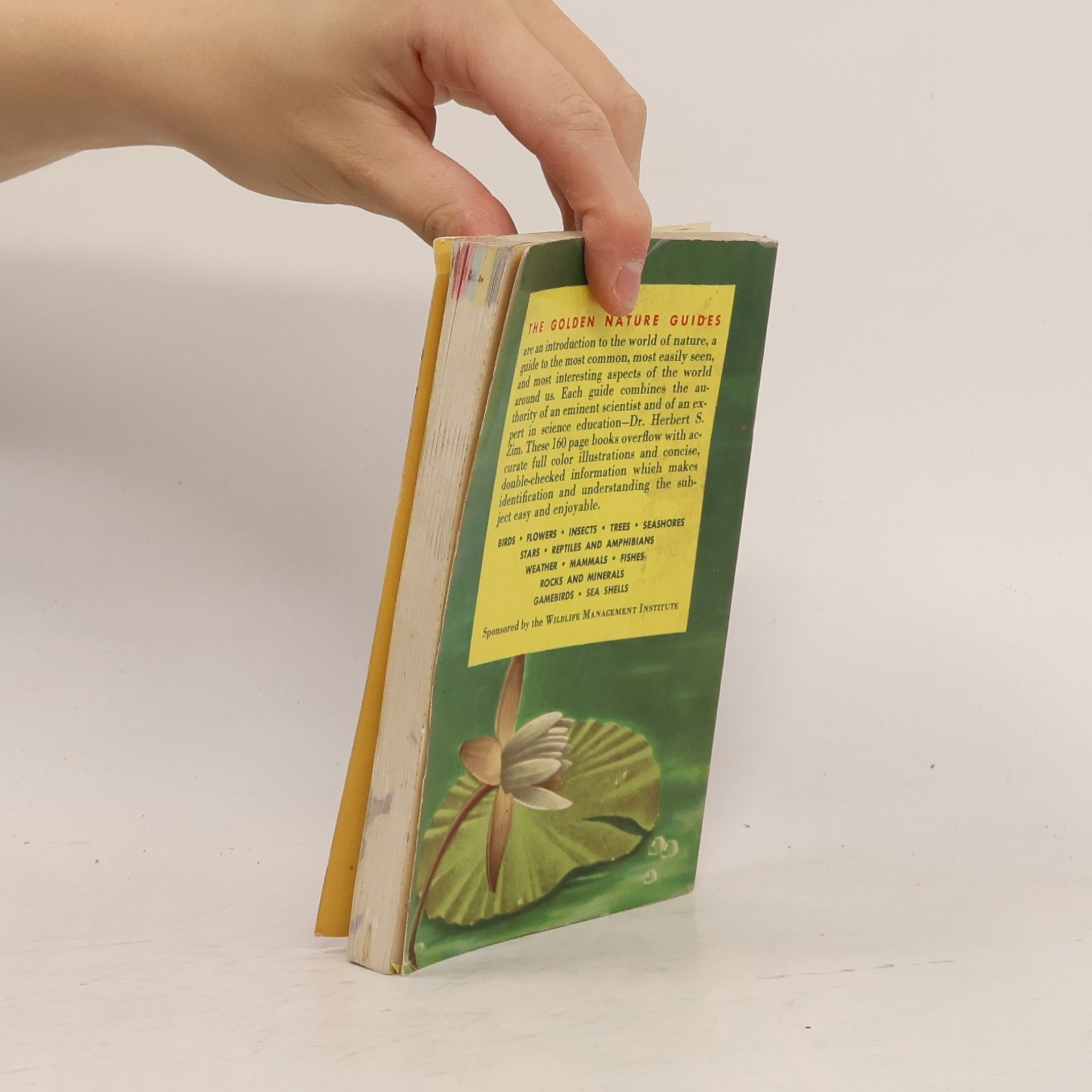 Herbert Spencer Zim Flowers. A Guide to Familiar American Wildflowers