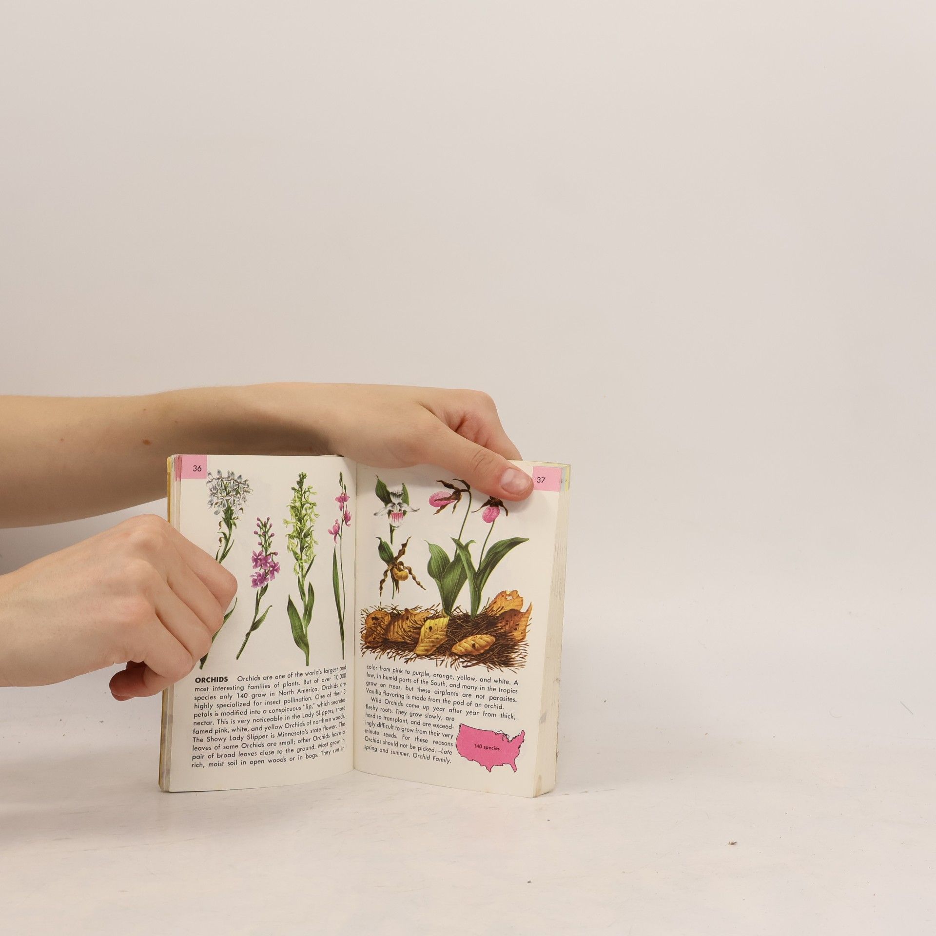 Herbert Spencer Zim Flowers. A Guide to Familiar American Wildflowers