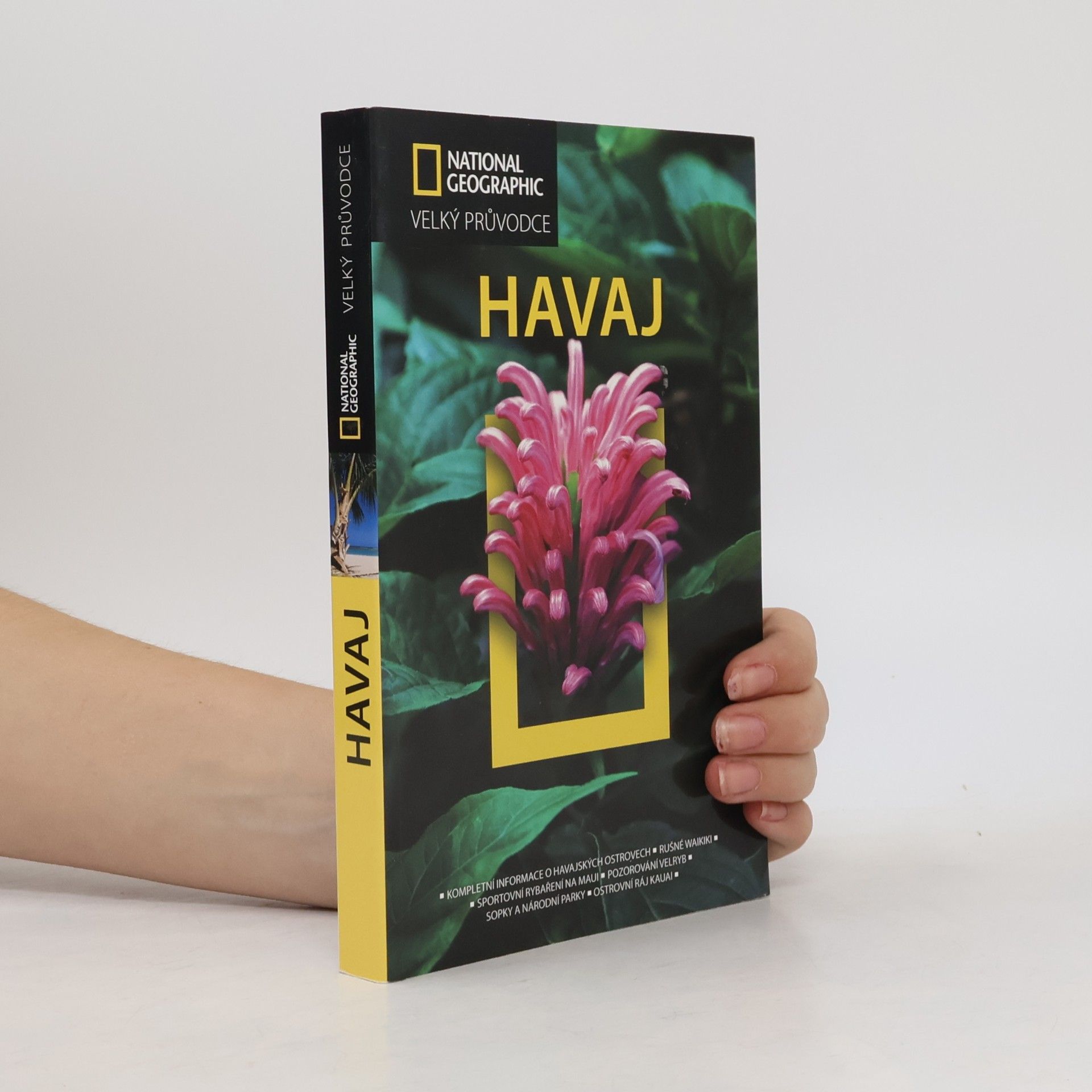 Rita Ariyoshi Havaj