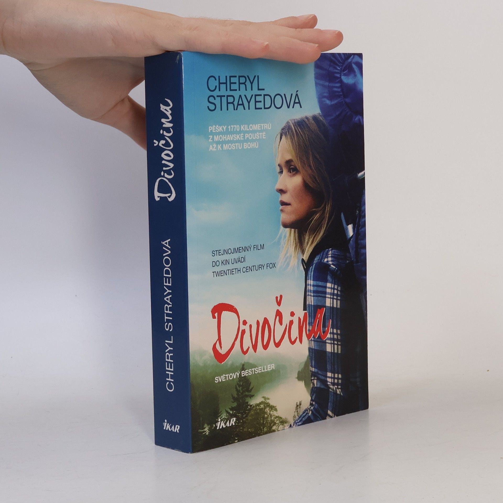 Cheryl Strayed Divočina. Pěšky 1770 kilometrů z Mohavské pouště až k mostu bohů