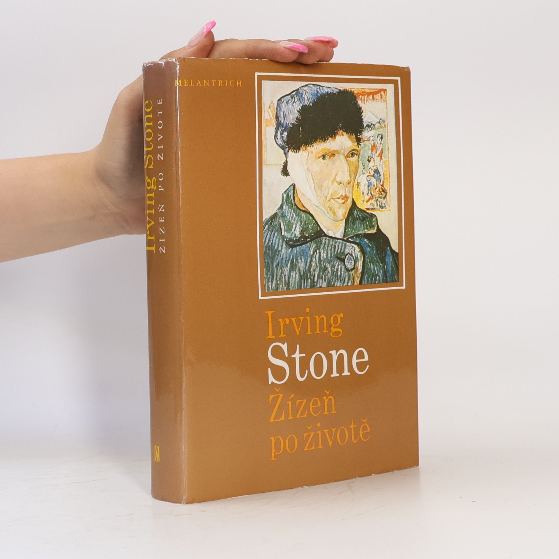 Irving Stone Žízeň po životě