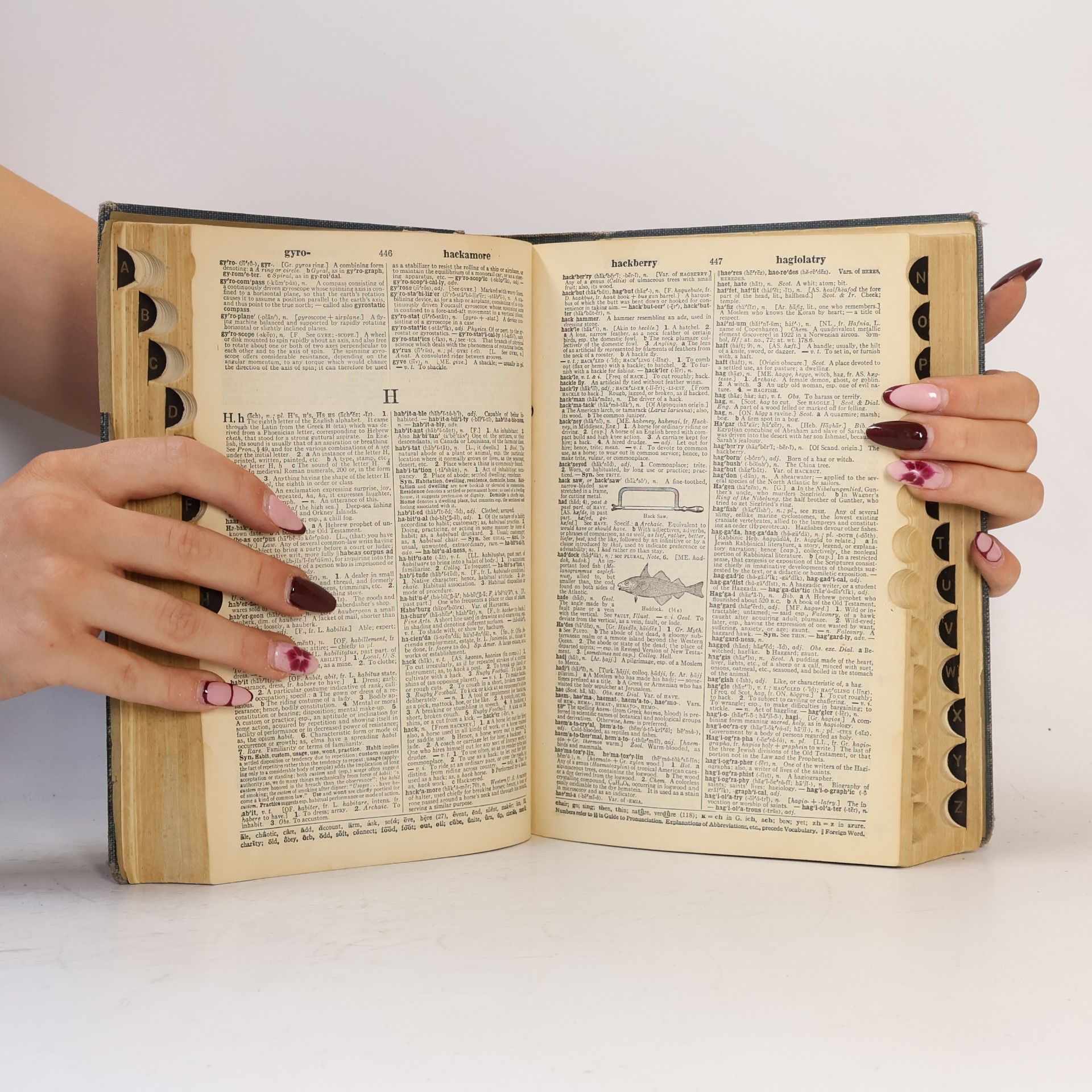 Autorenkollektiv Webster's Collegiate Dictionary