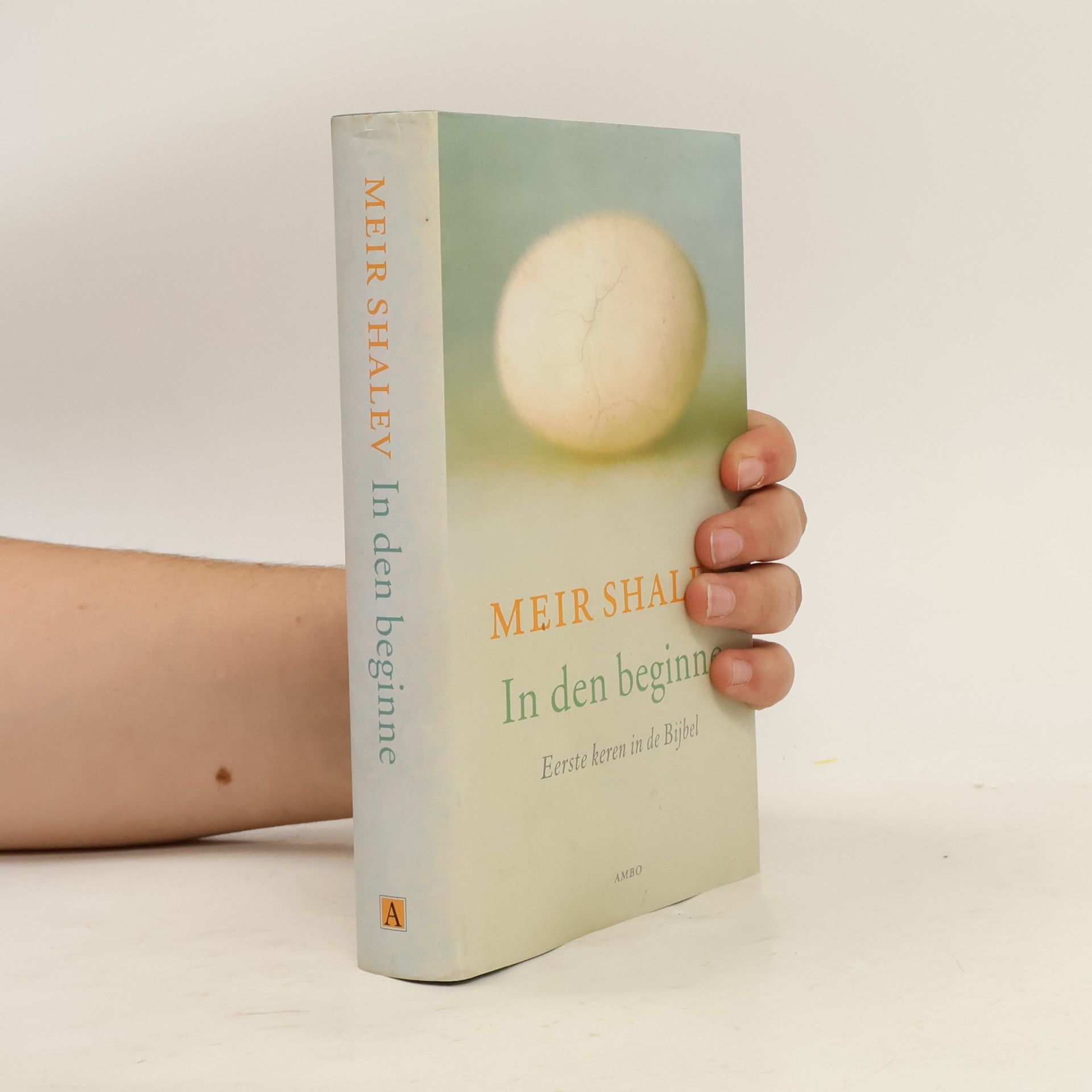 Meir Shalev In den beginne