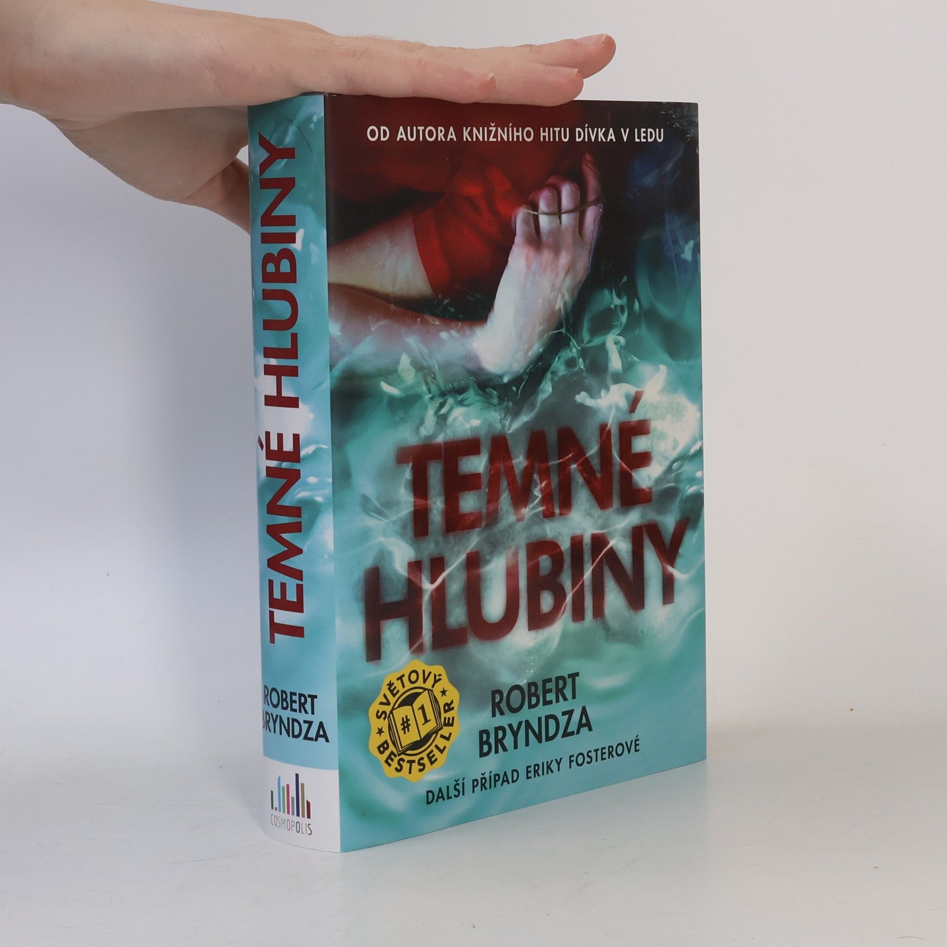 Robert Bryndza Temné hlubiny