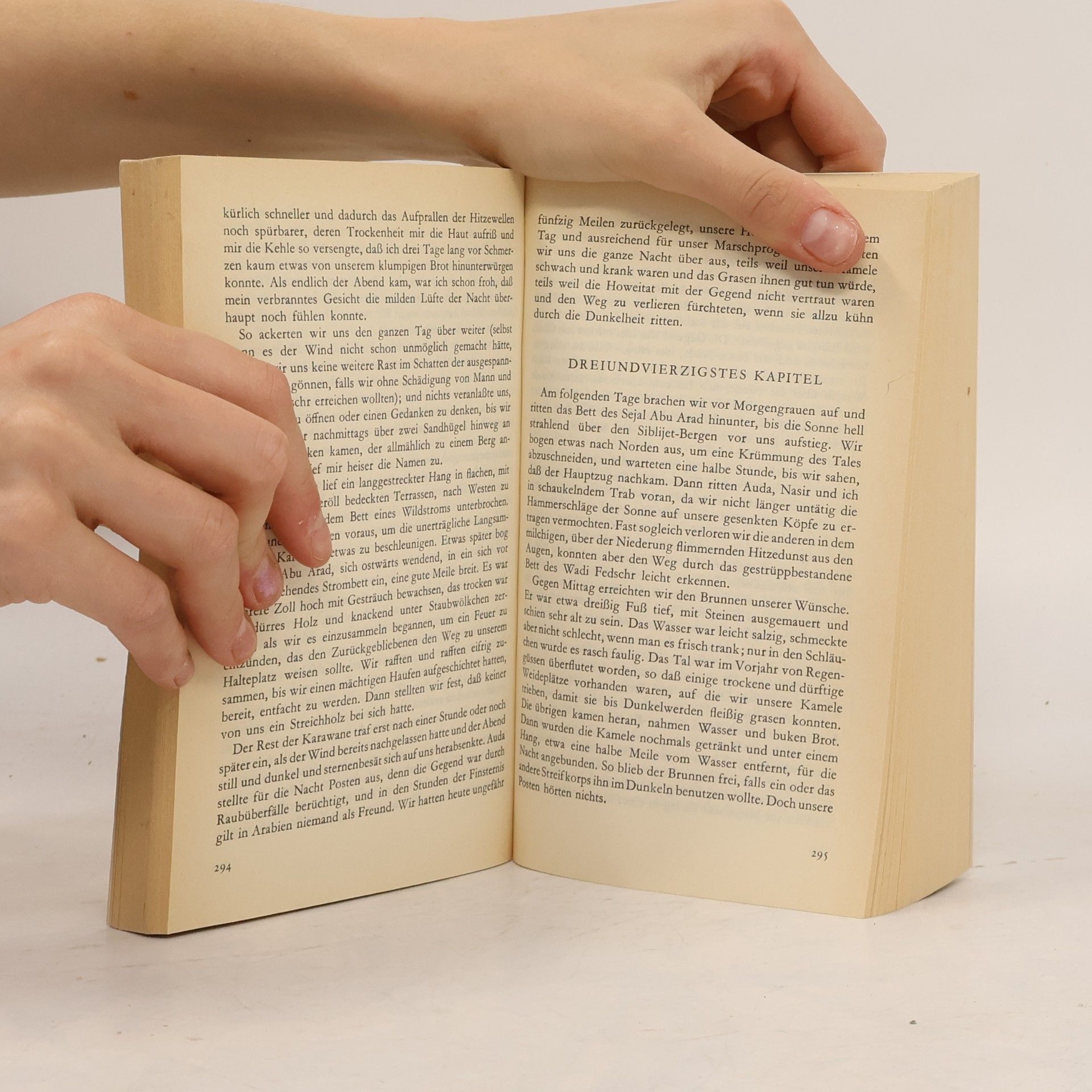 T. E. Lawrence Die sieben Säulen der Weisheit