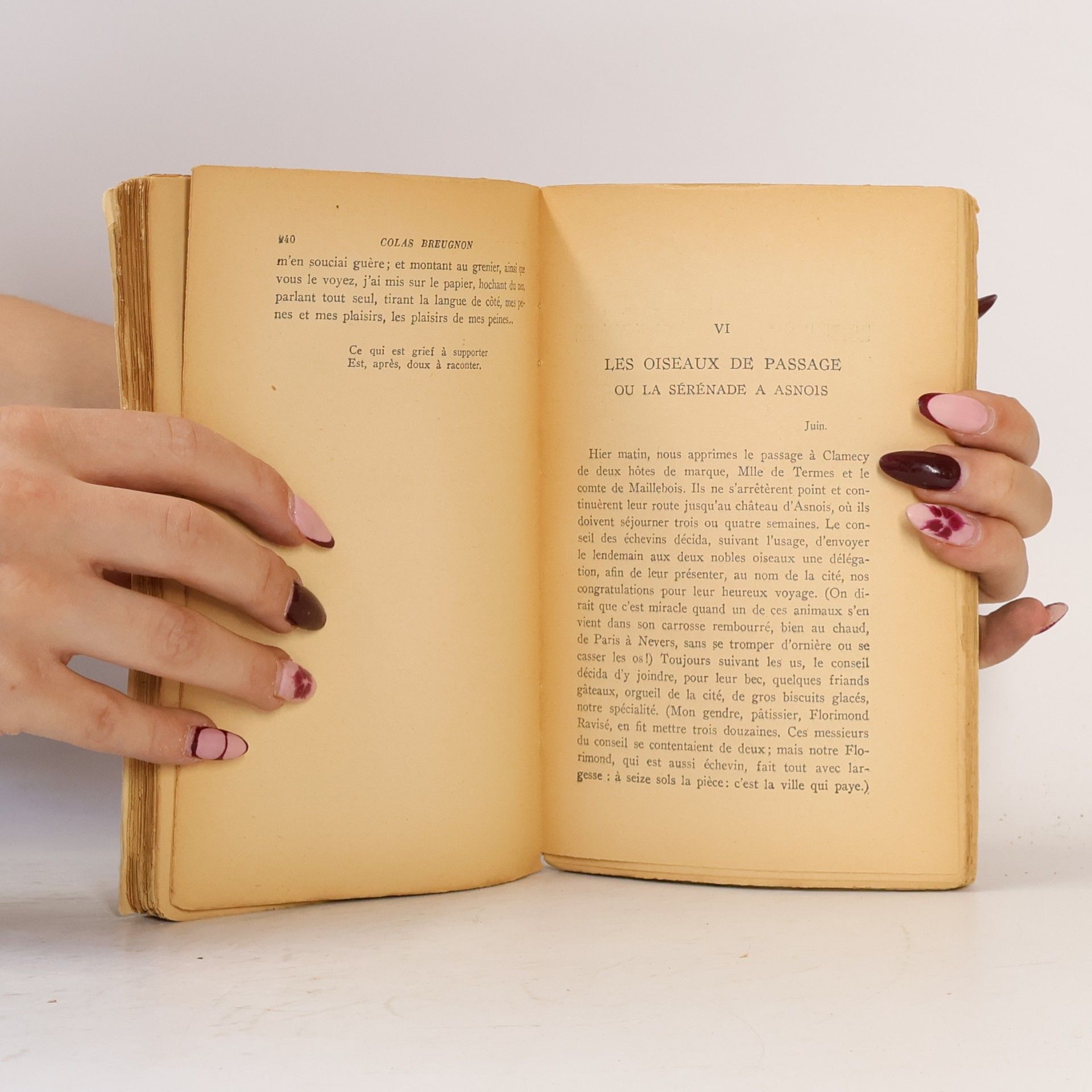Romain Rolland Colas Breugnon