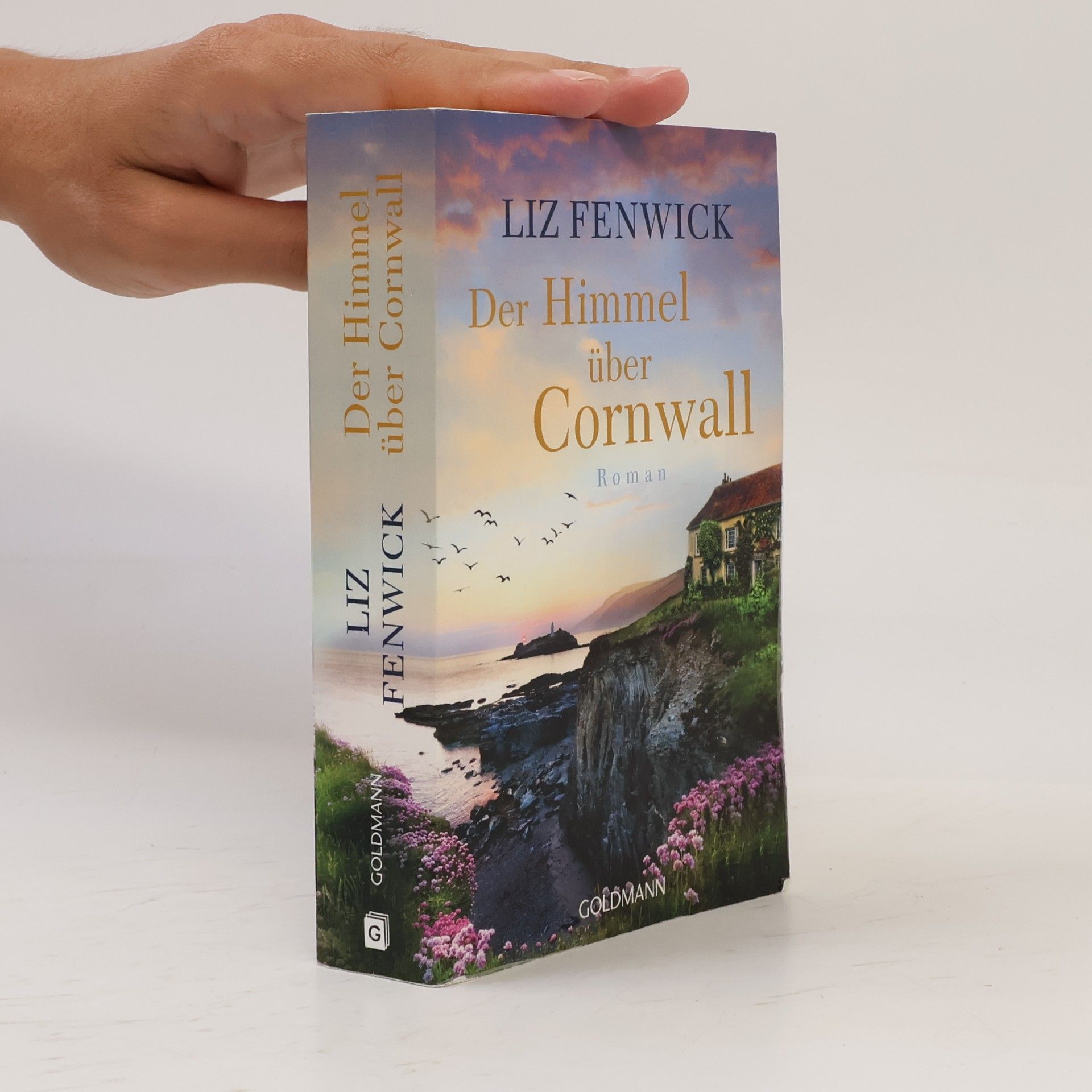 Liz Fenwick Der Himmel über Cornwall
