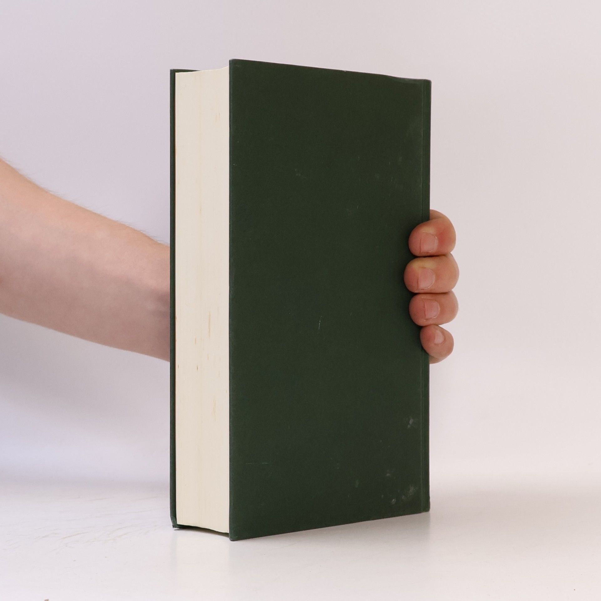 Henning Mankell Die falsche Fährte