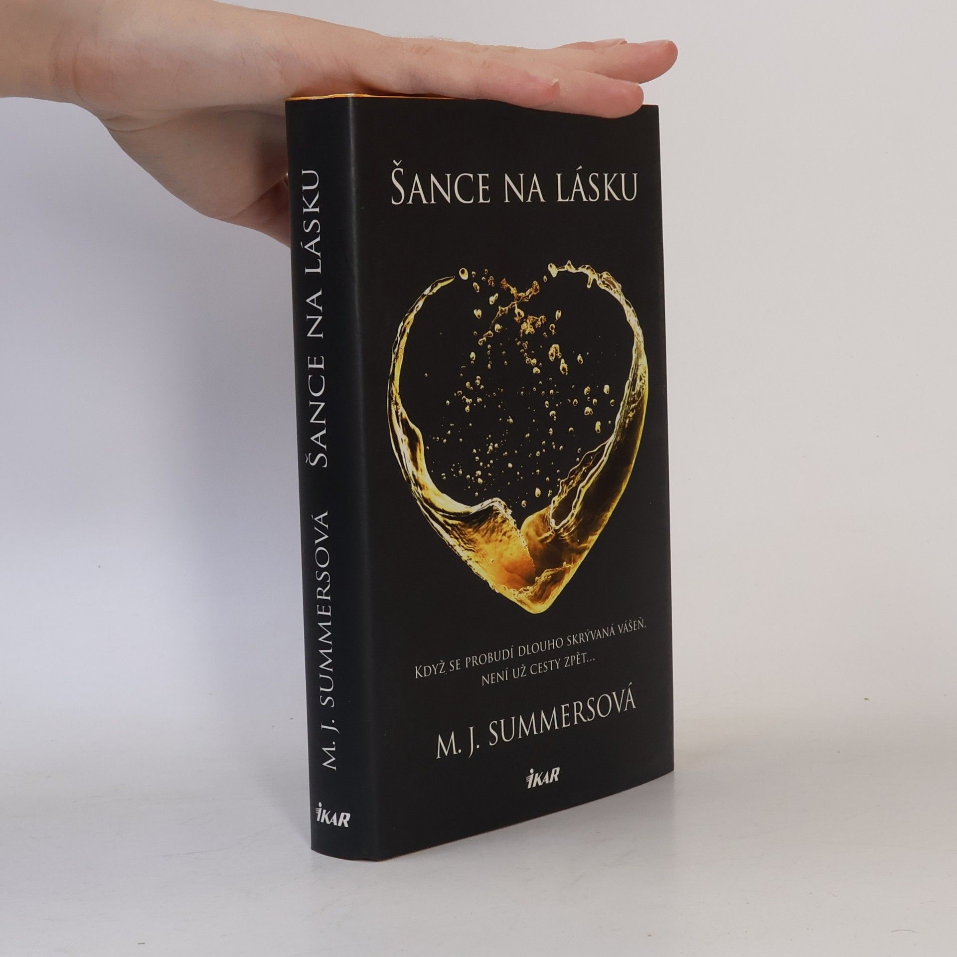 M. J. Summers Šance na lásku