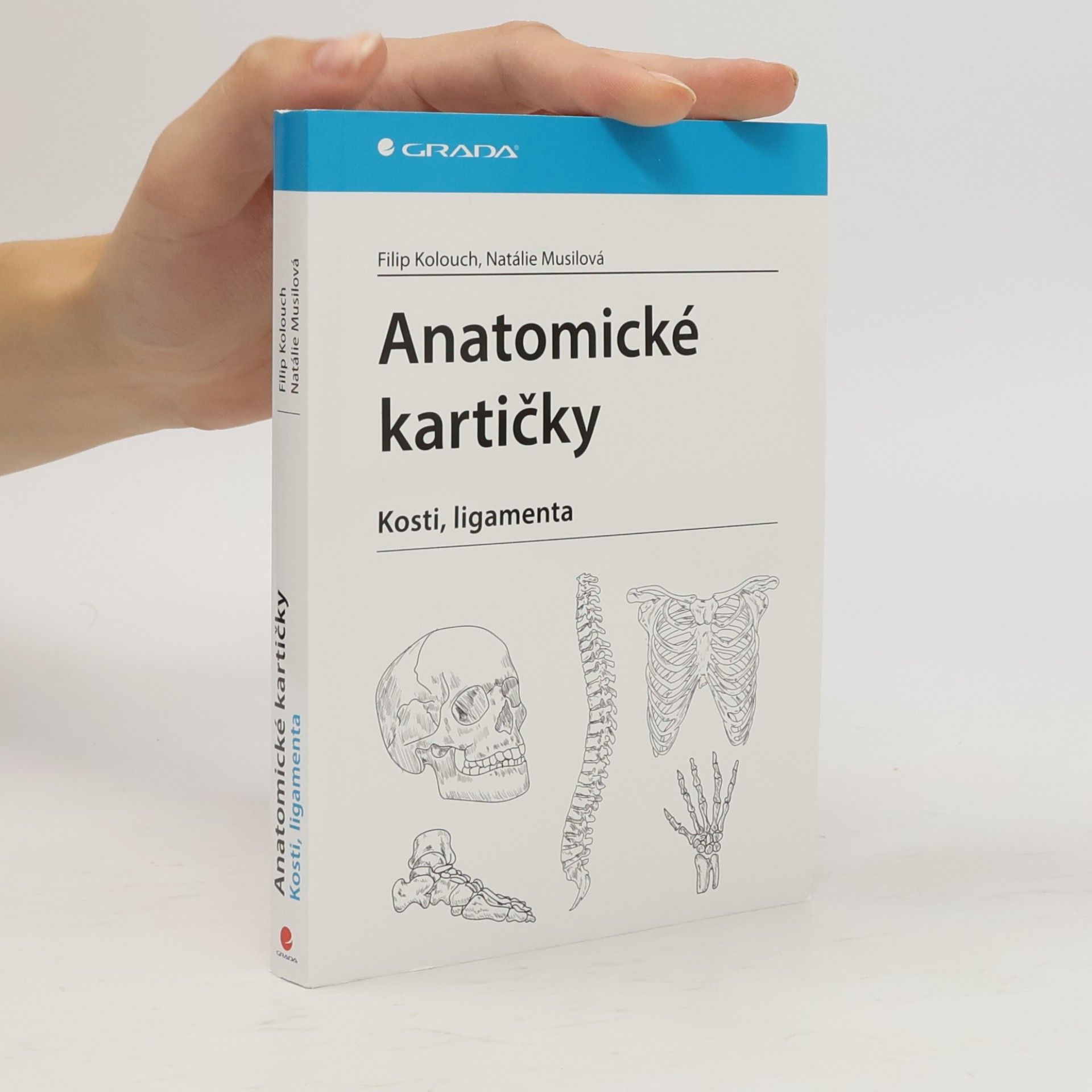 Natálie Musilová Anatomické kartičky