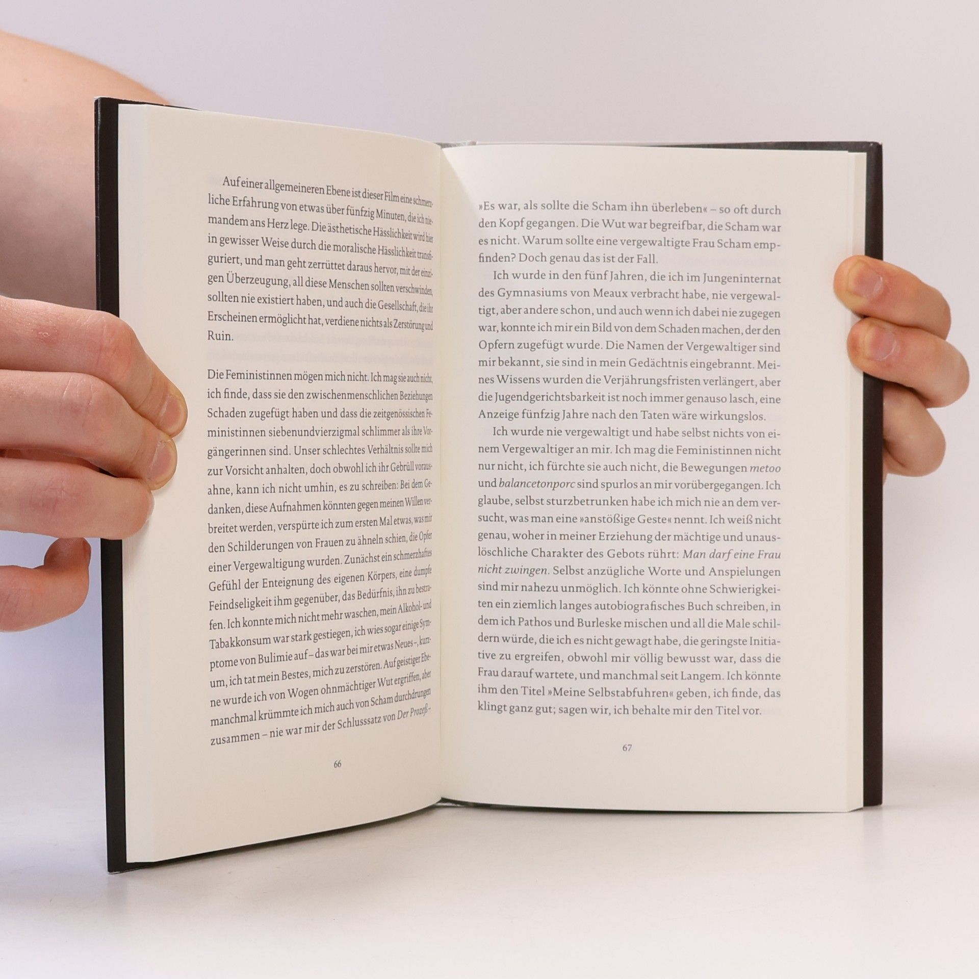 Michel Houellebecq Einige Monate in meinem Leben
