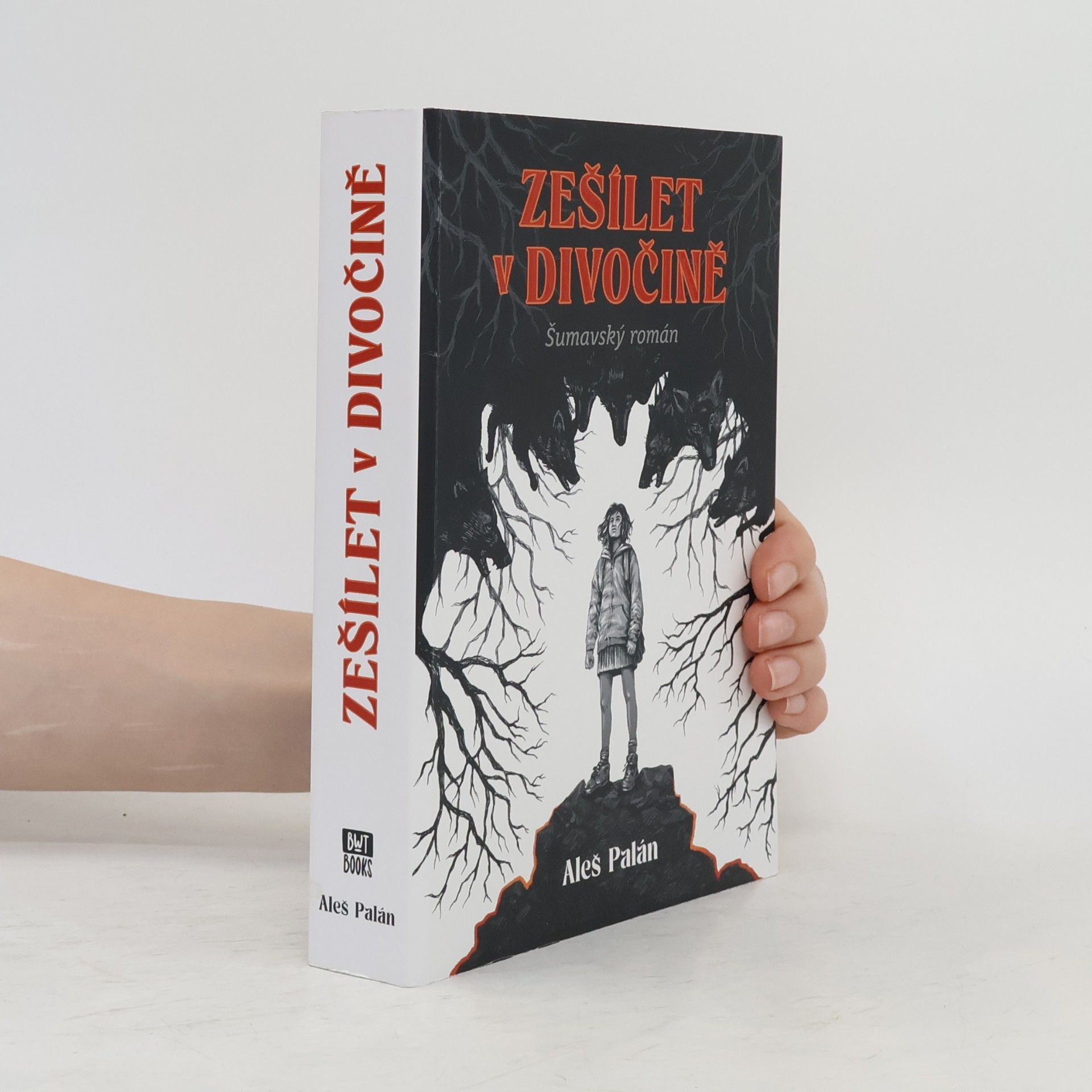 Aleš Palán Zešílet v divočině