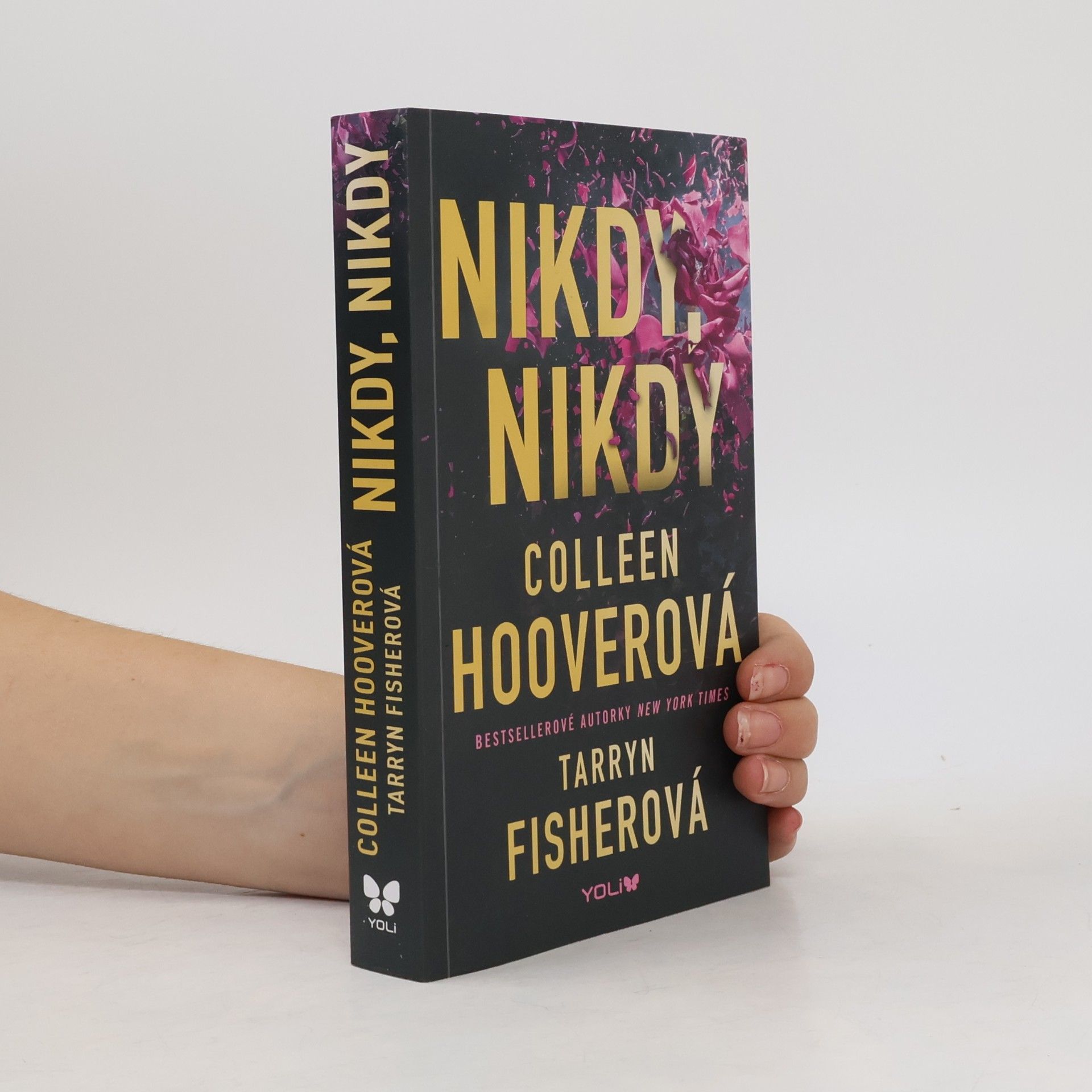 Colleen Hoover Nikdy, nikdy