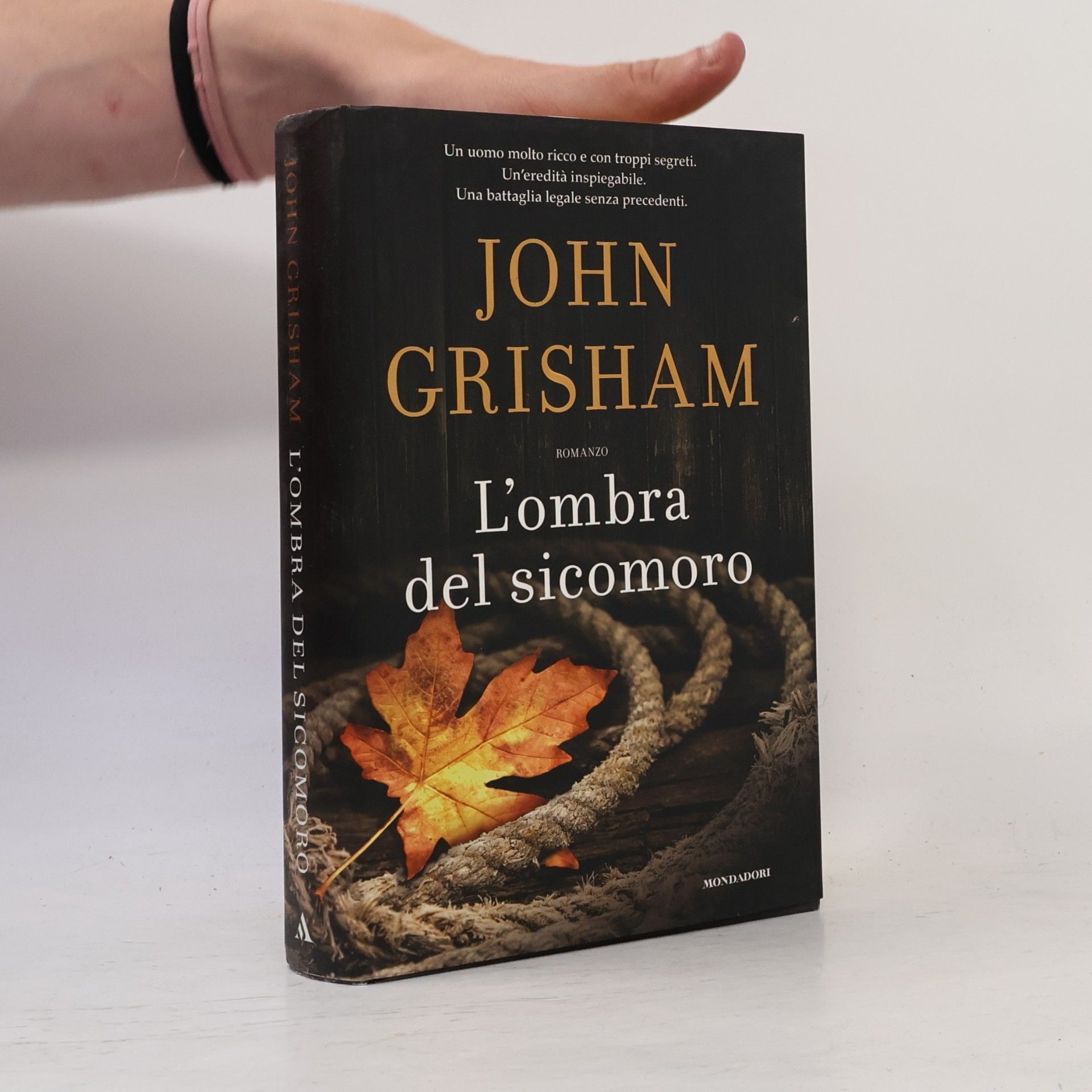 John Grisham L'ombra del sicomoro