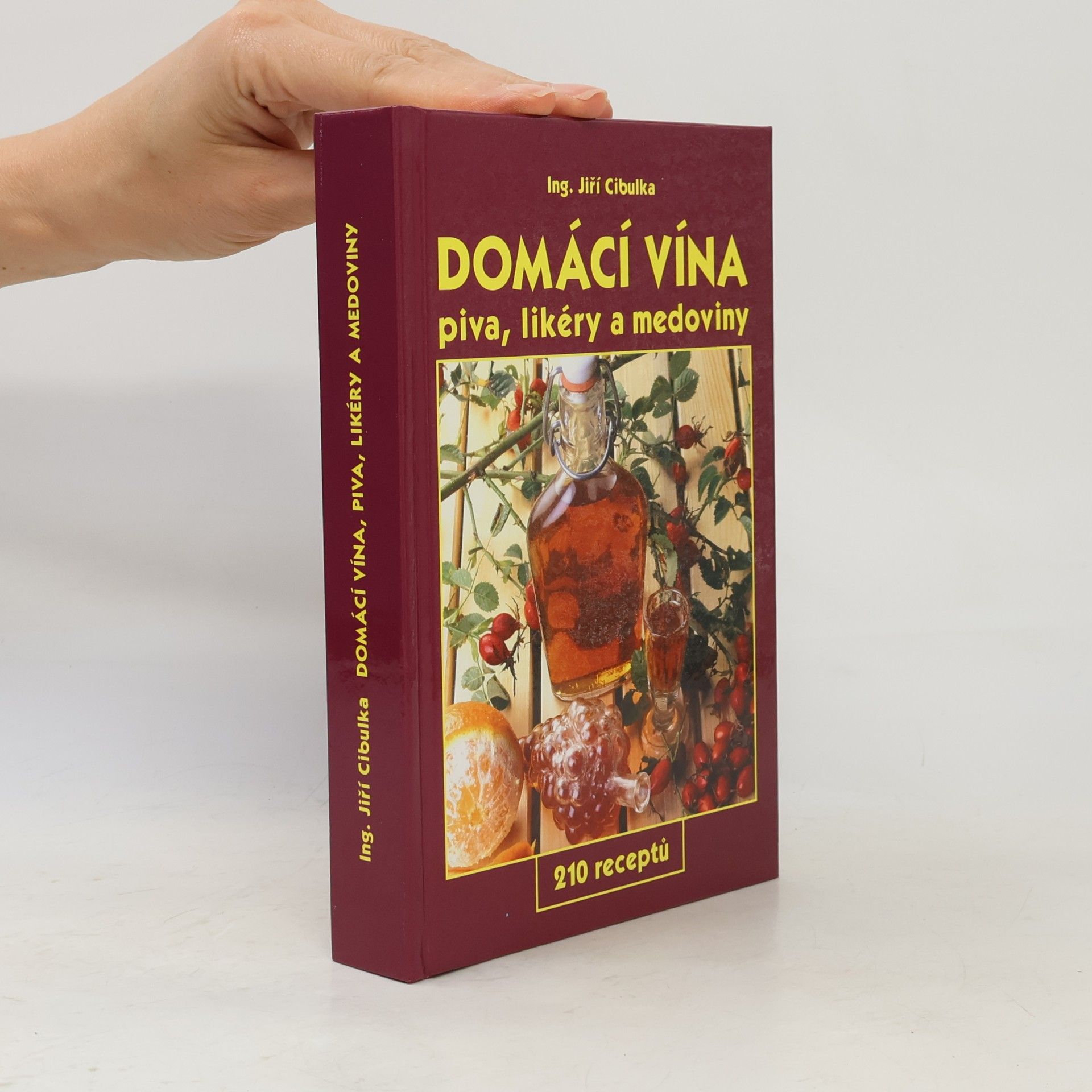 Jiří Cibulka Domácí vína: Piva, likéry a medoviny
