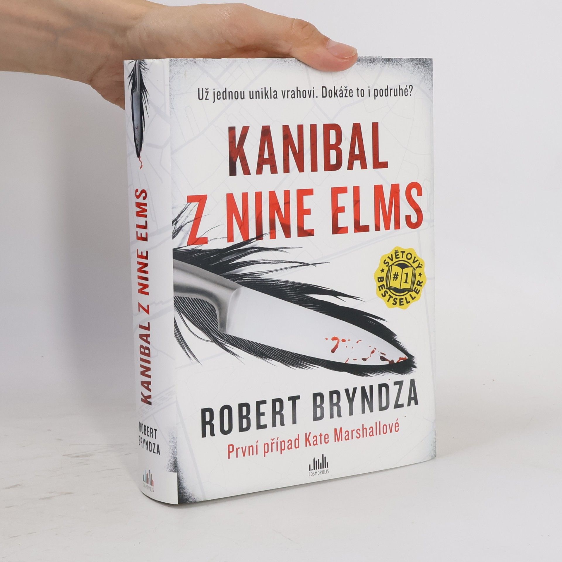 Robert Bryndza Kanibal z Nine Elms