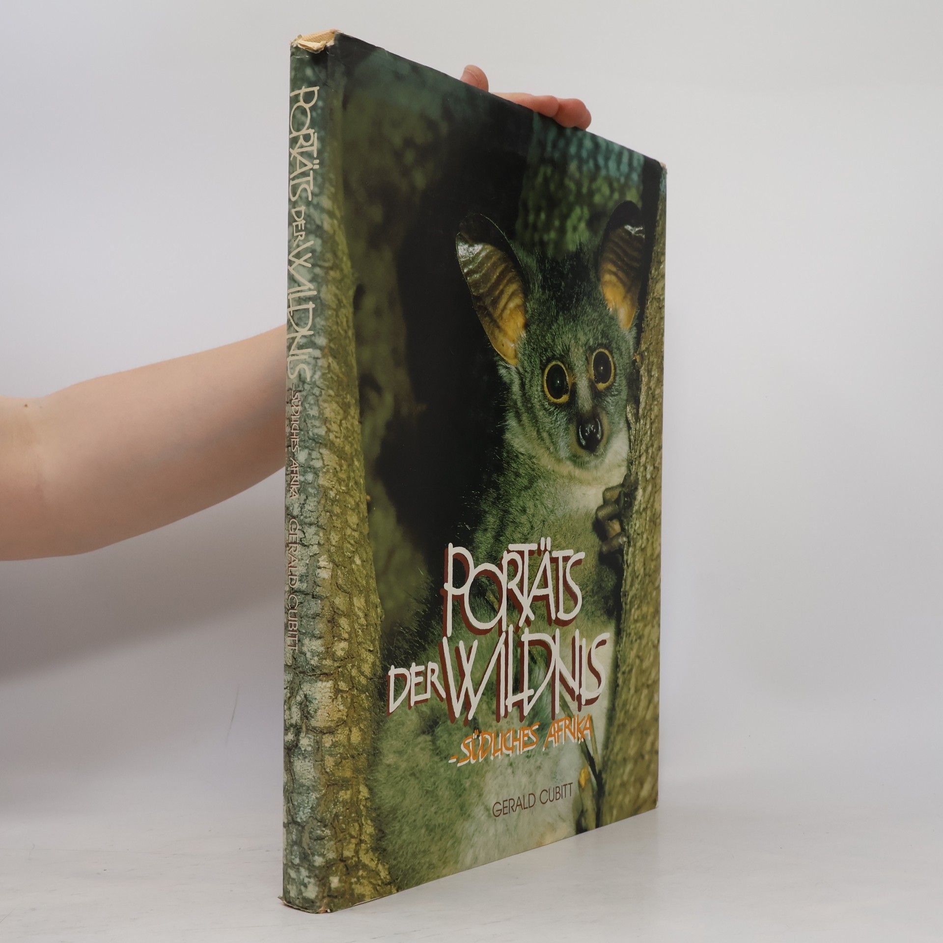 Portraits of the Wild