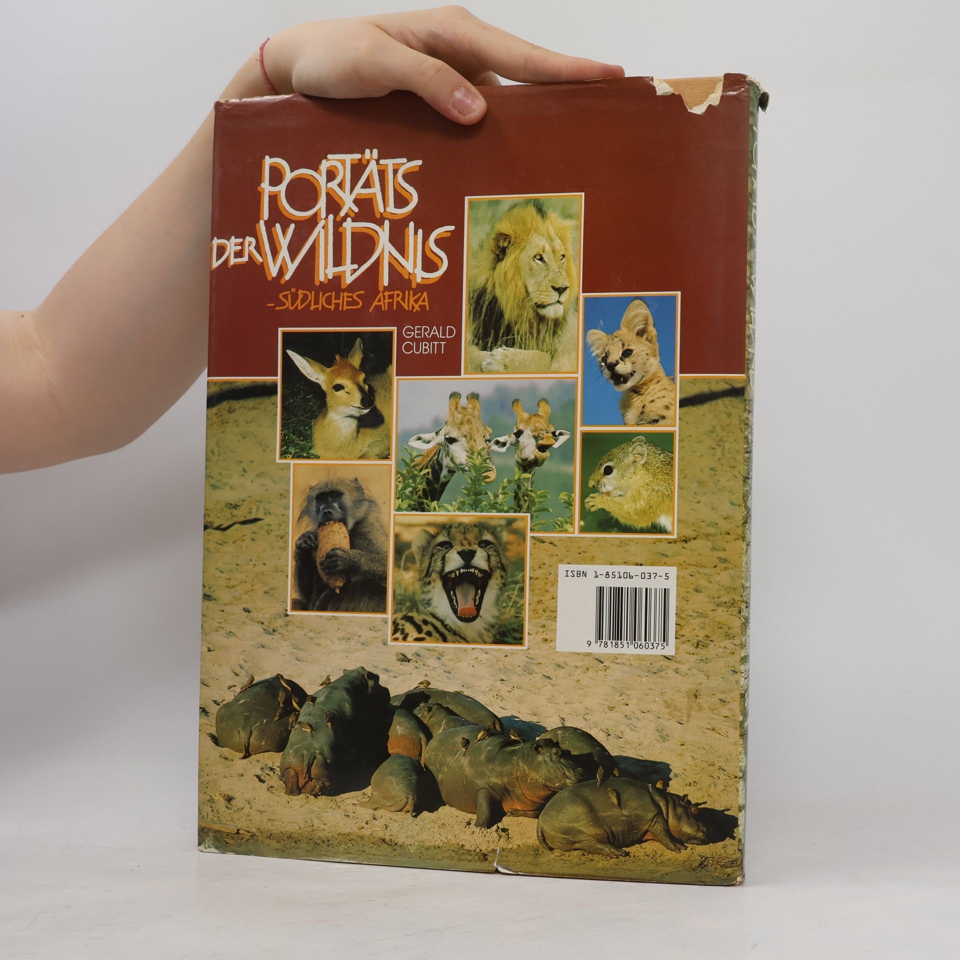 Gerald Cubitt Portraits of the Wild