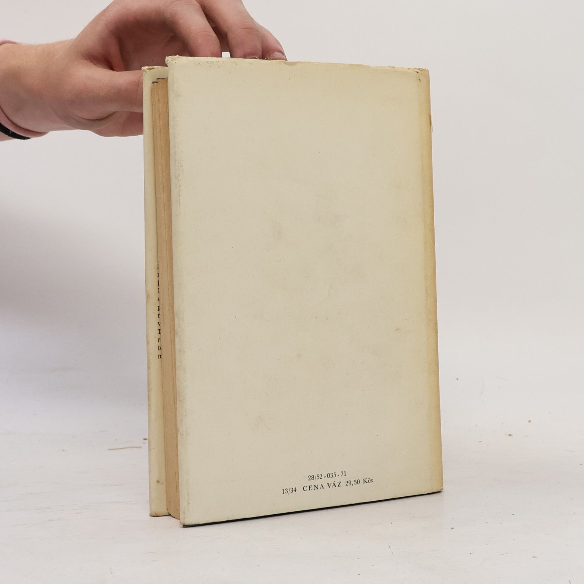 Erich Maria Remarque Vítězný oblouk