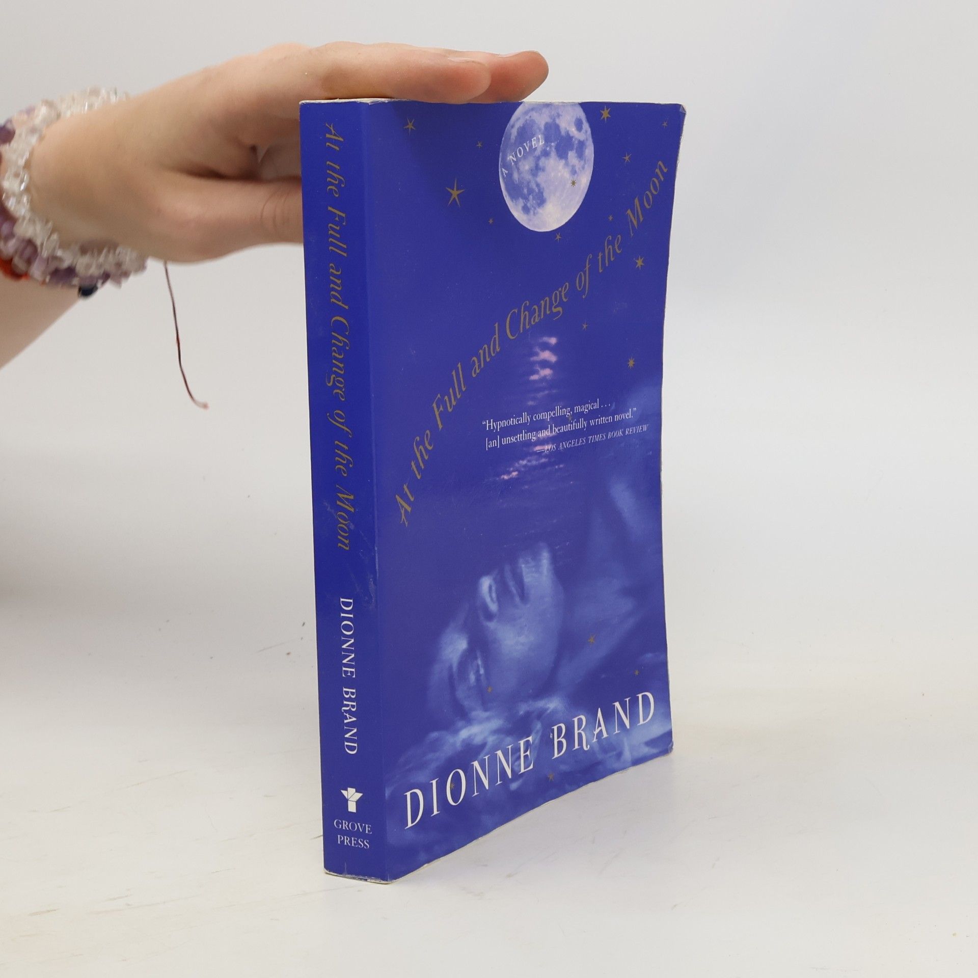 Dionne Brand At the Full and Change of the Moon