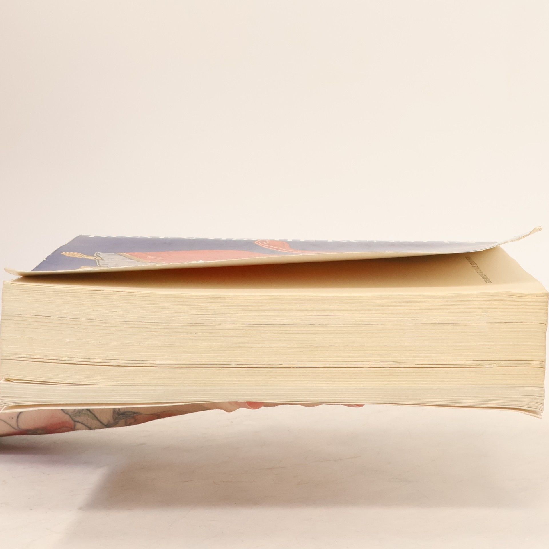 Autorenkollektiv Romanische Kunst in Österreich