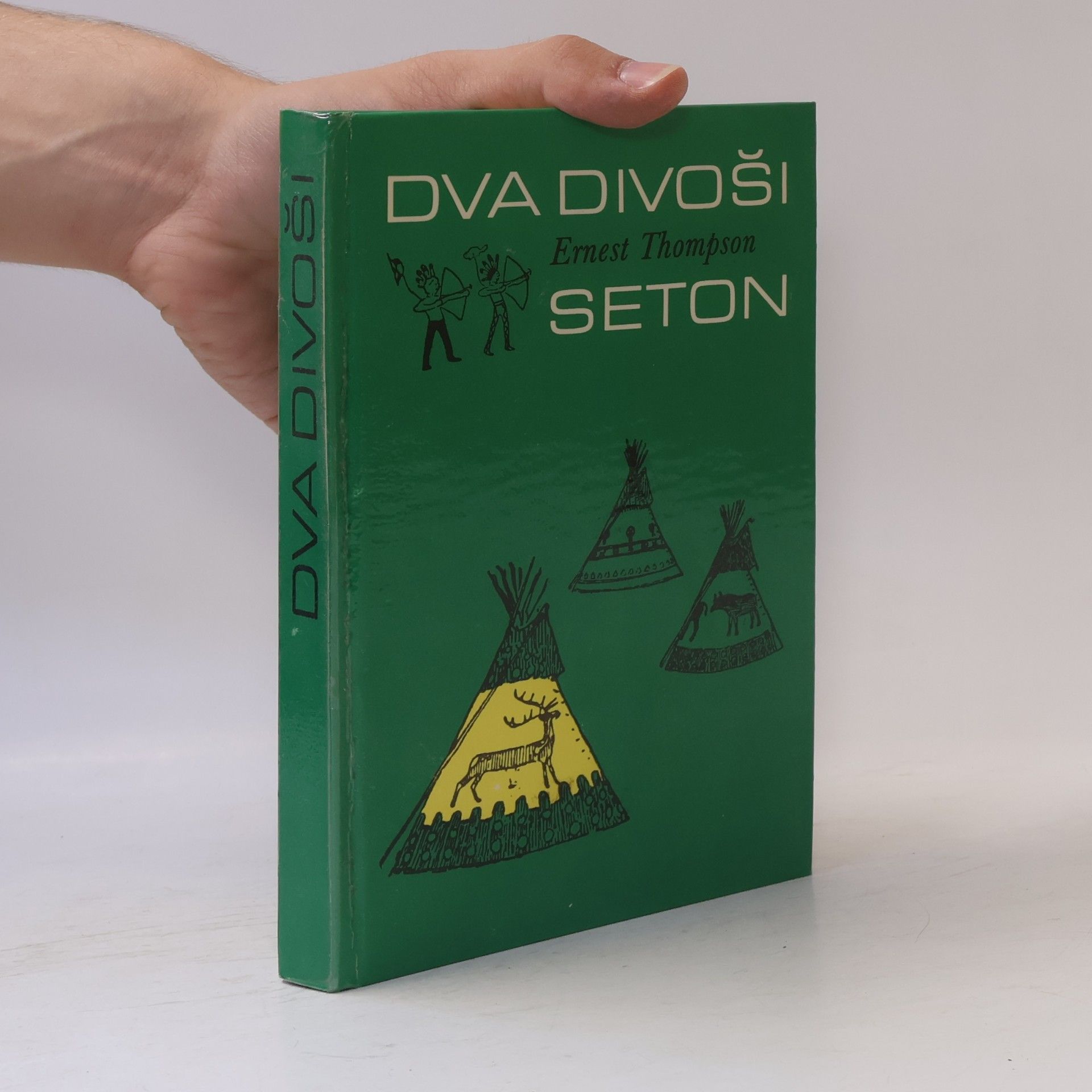 Dva divoši