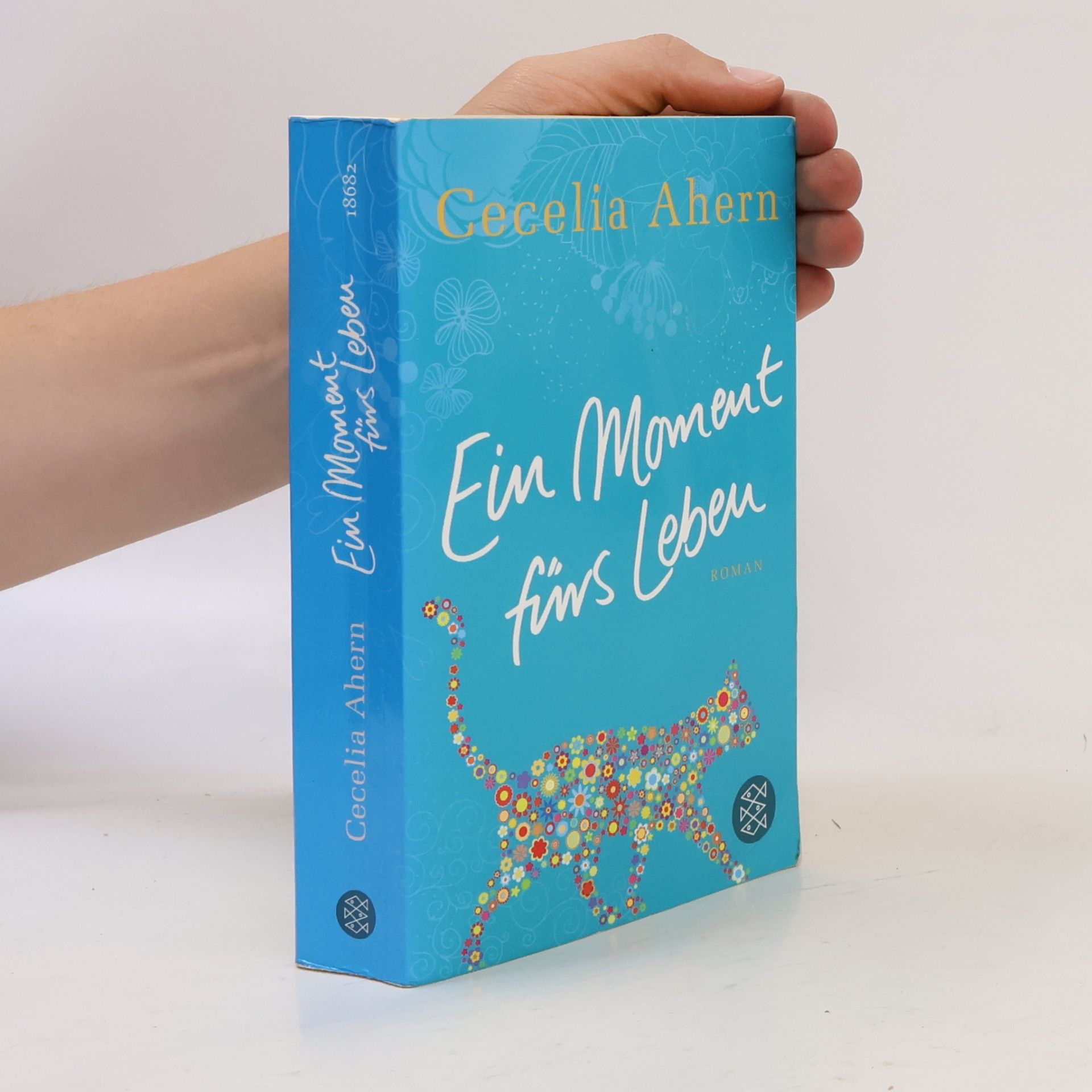 Cecelia Ahern Ein Moment fürs Leben