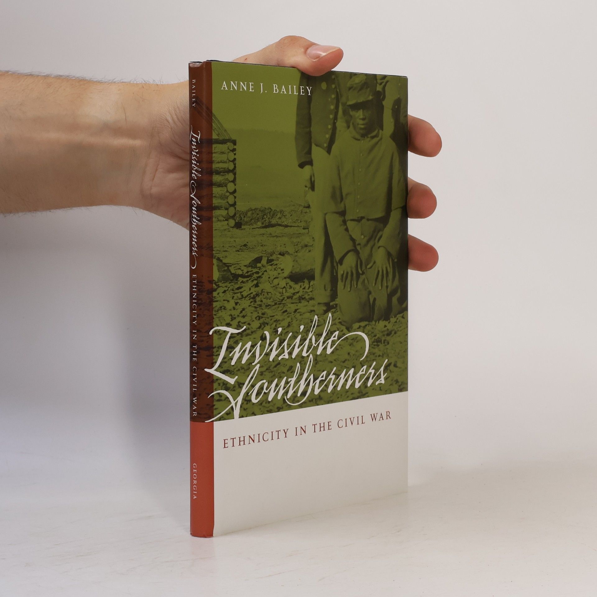 Anne J. Bailey Invisible Southerners