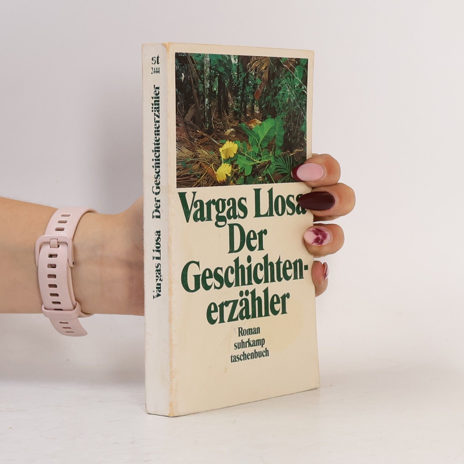 Mario Vargas Llosa Der Geschichtenerzähler