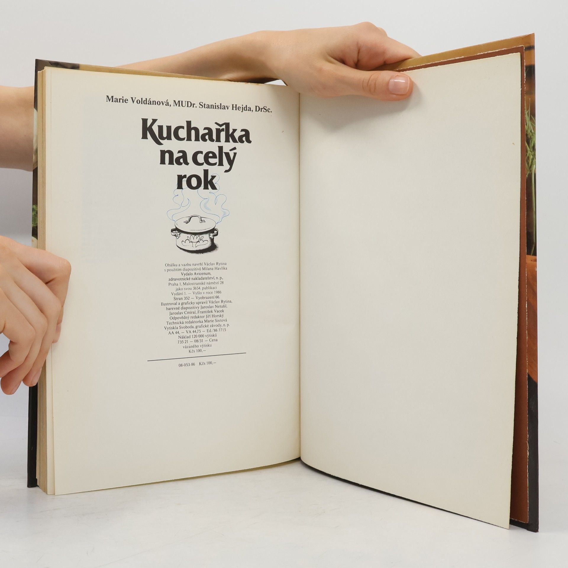 Marie Voldánová Kuchařka na celý rok